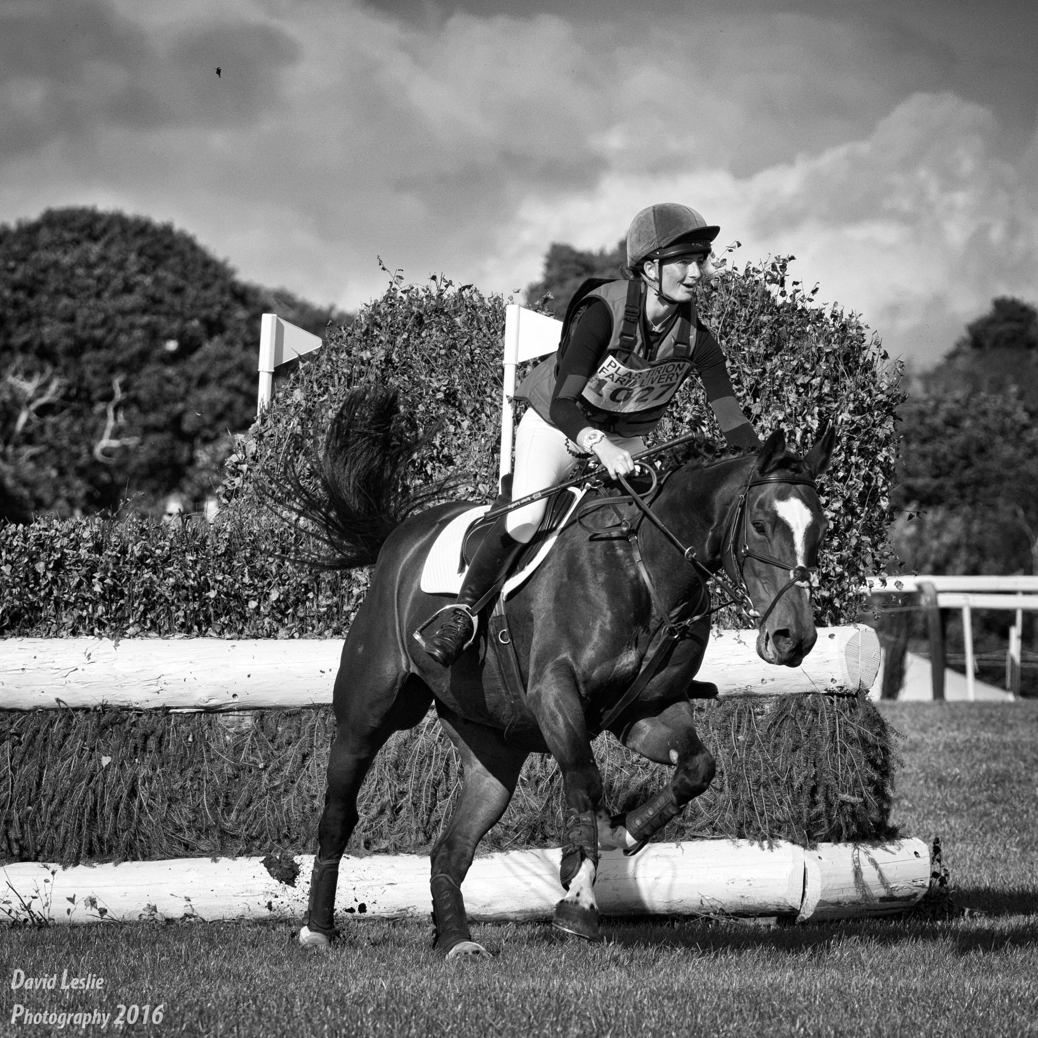 Sigma 70-200mm F2.8 EX DG OS HSM sample photo. Equestrian eventing photography