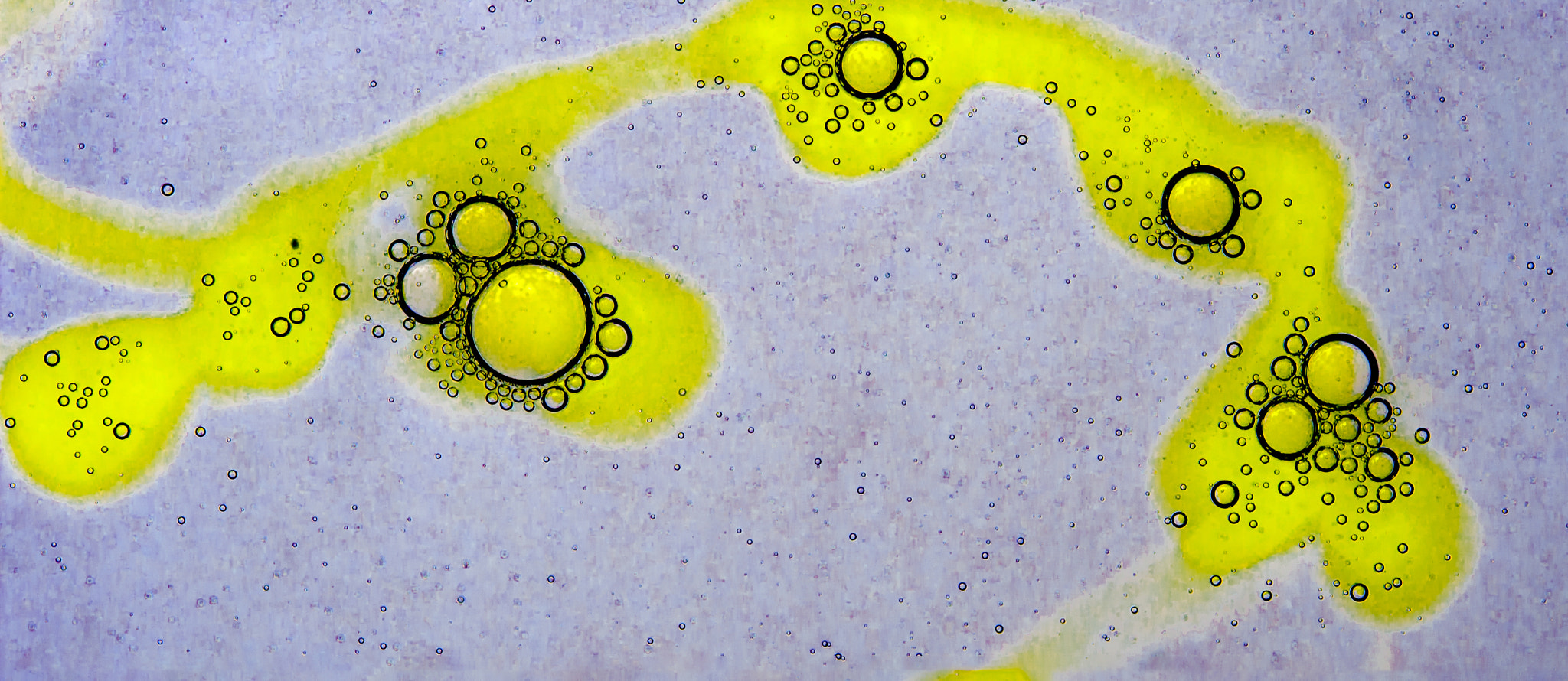Canon EF-S 60mm F2.8 Macro USM sample photo. Spiraled soap photography