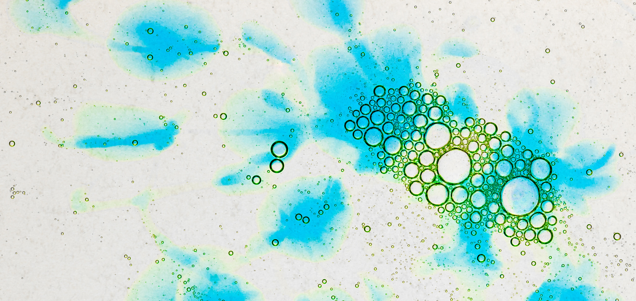 Canon EF-S 60mm F2.8 Macro USM sample photo. Splattered soap photography