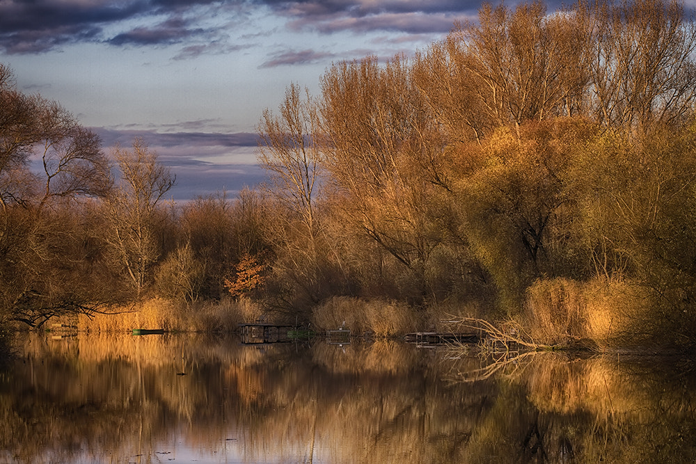 Sigma 100-300mm f/4 sample photo. Autumn on the backwater photography
