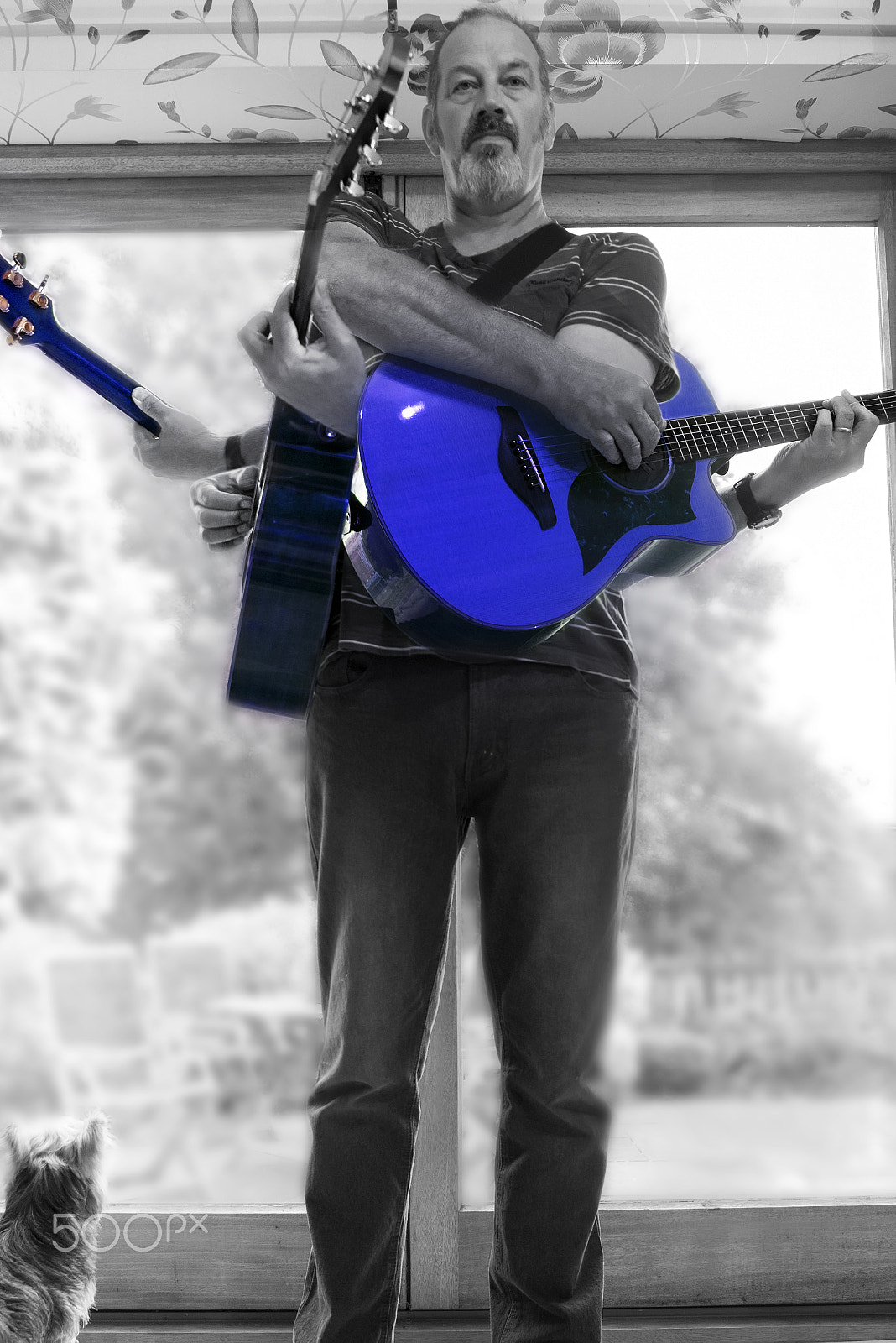 Nikon D500 sample photo. Guitar trio photography