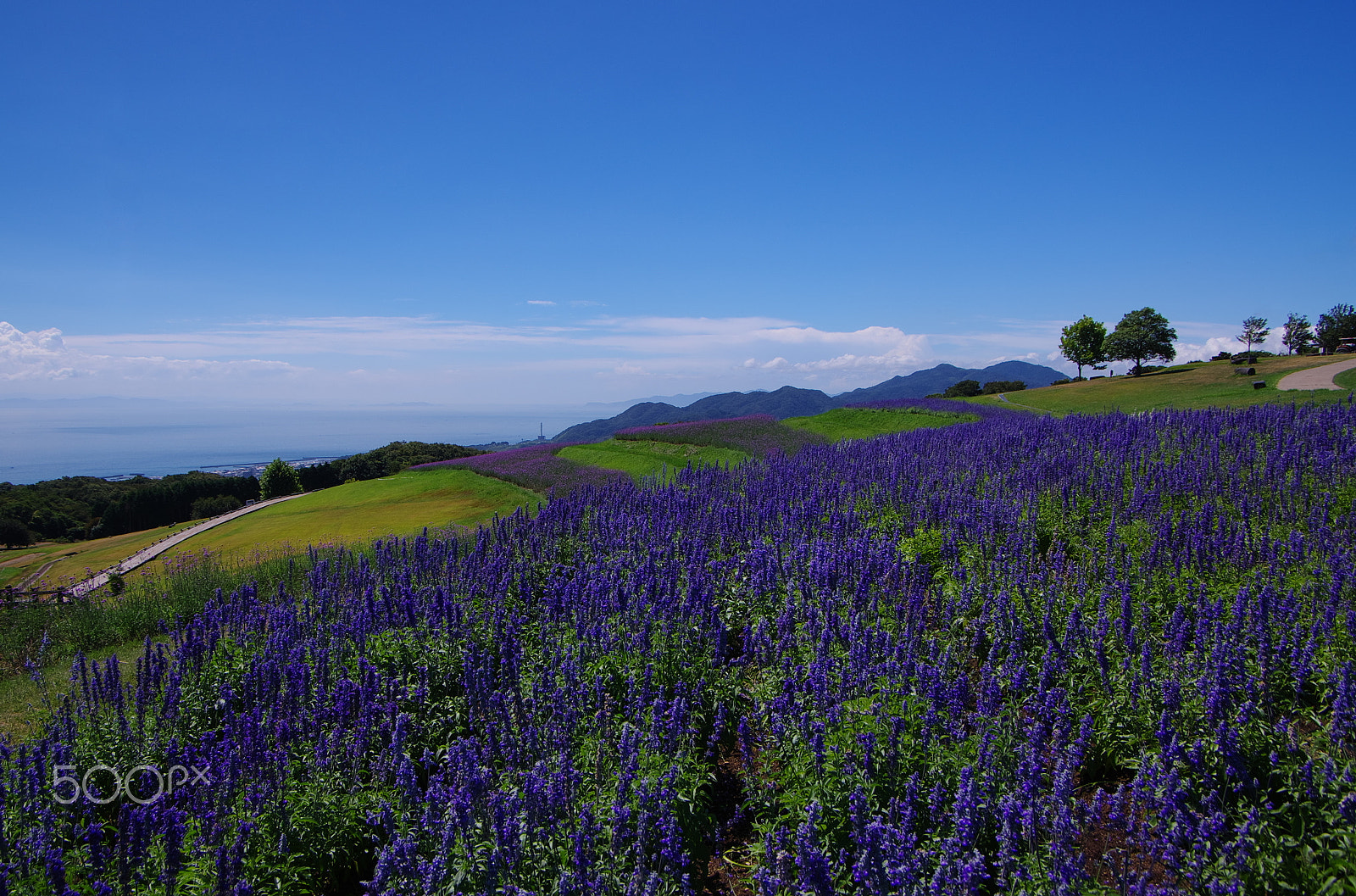 Pentax smc DA 16-45mm F4 ED AL sample photo. Blue road photography