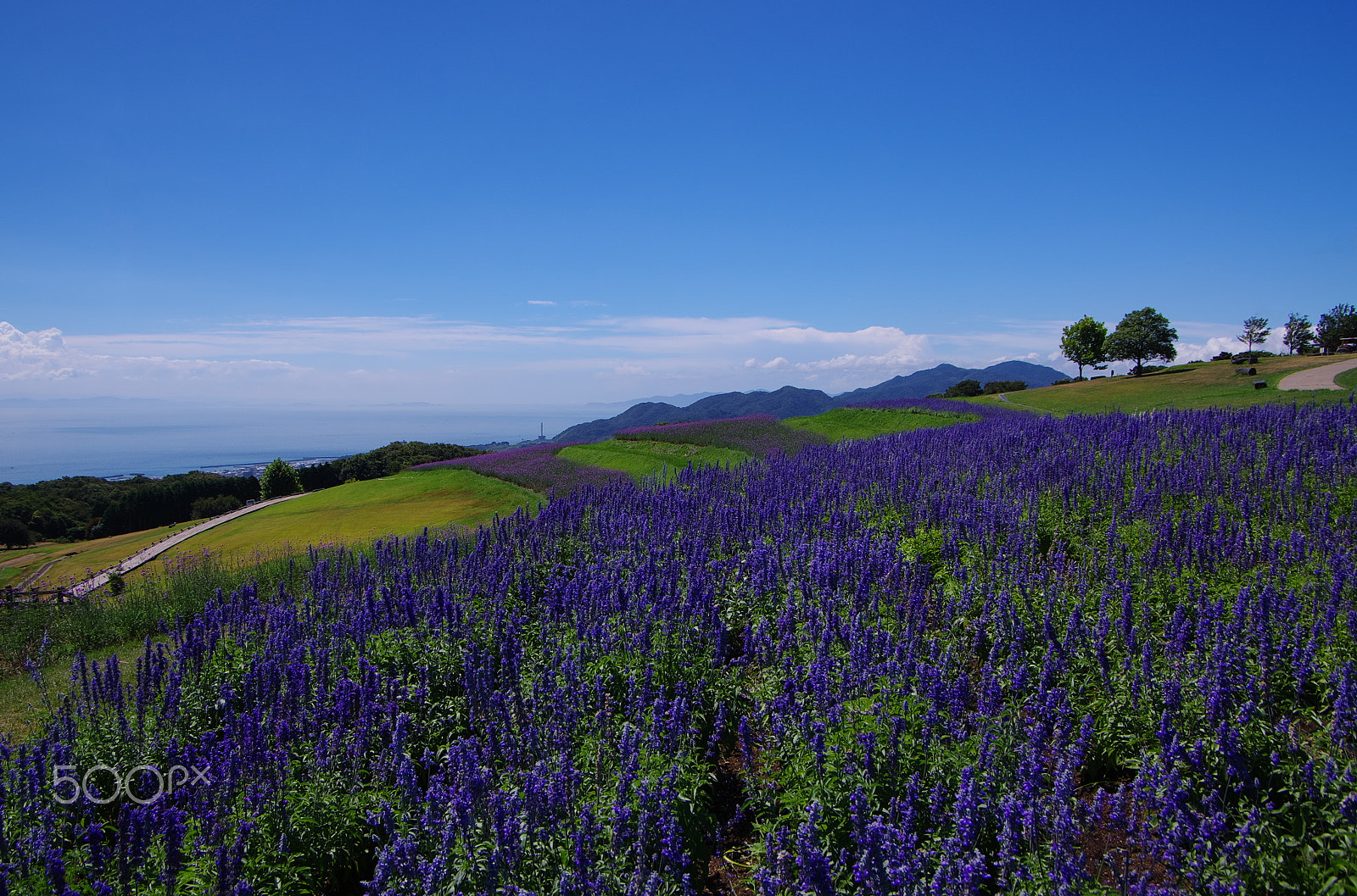 Pentax K-5 IIs + Pentax smc DA 16-45mm F4 ED AL sample photo. Blue road photography