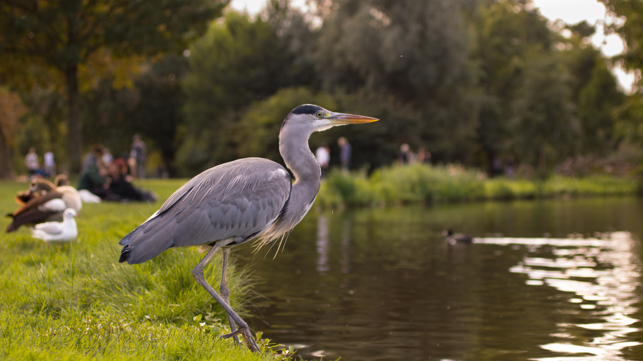 Canon EF 50mm F2.5 Macro sample photo. Daydreaming photography