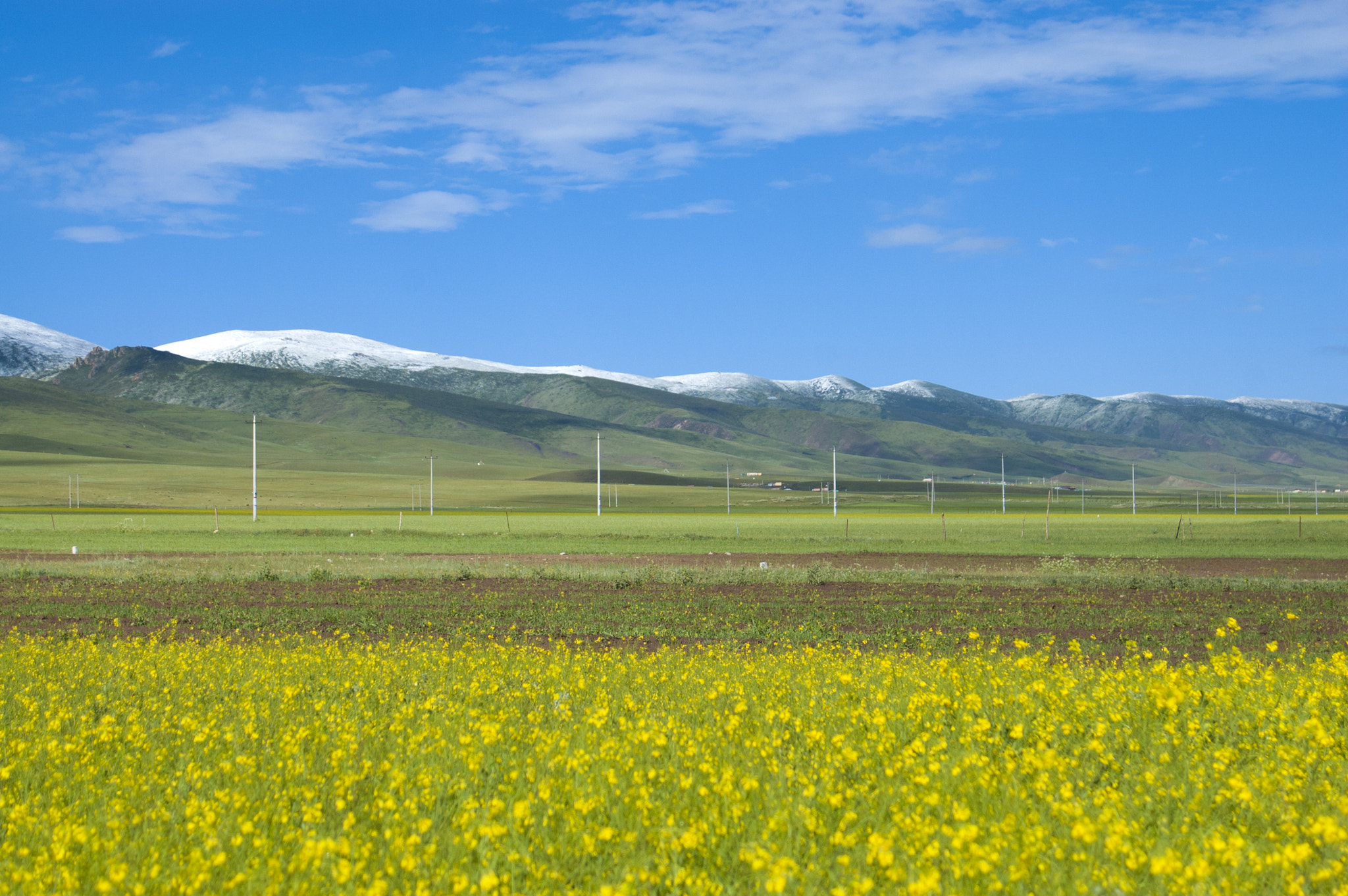 Nikon D70s + AF Zoom-Nikkor 28-100mm f/3.5-5.6G sample photo. Winter and spring photography