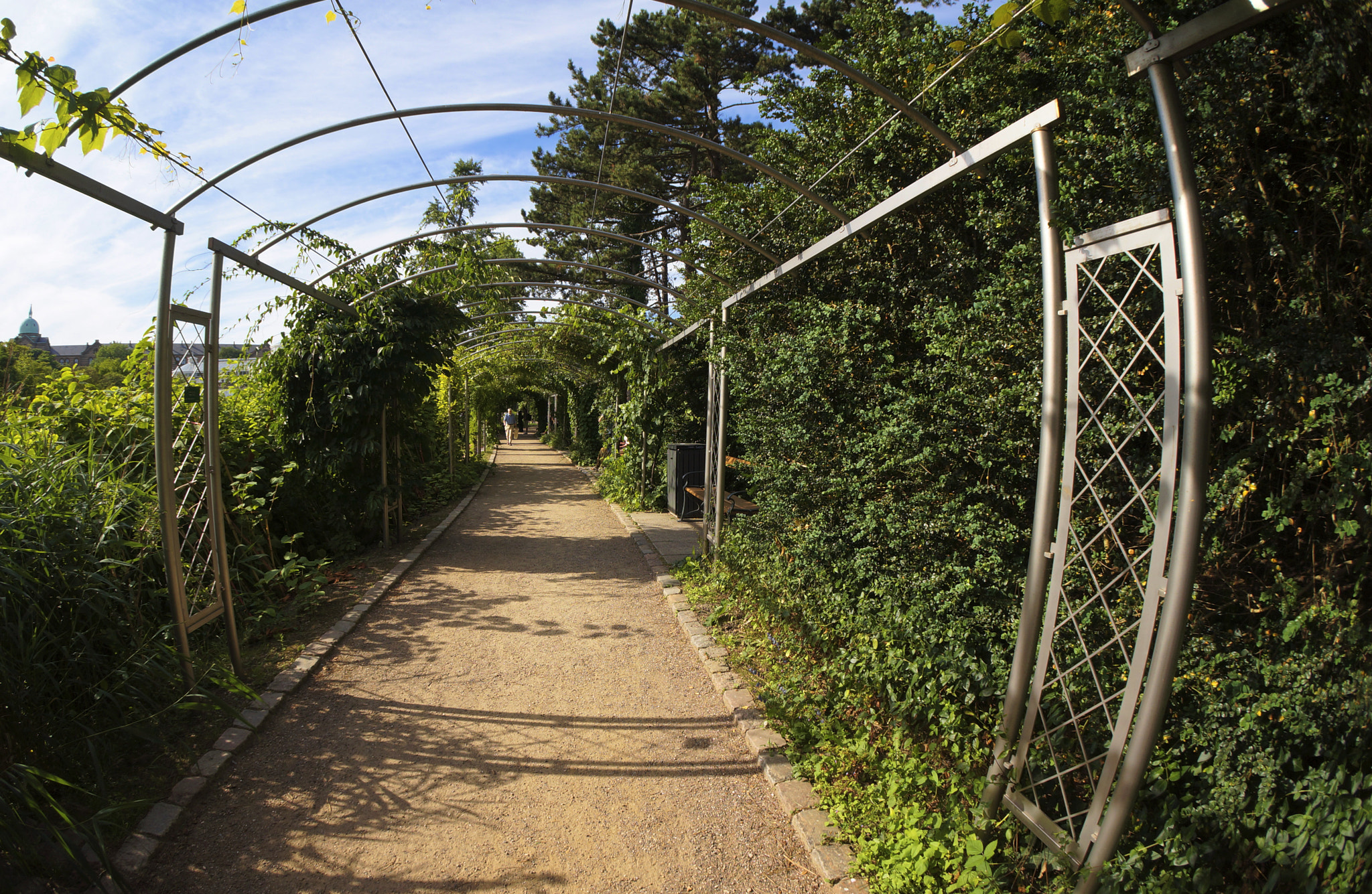 Sony Alpha NEX-5N sample photo. Garden in copenhagen photography