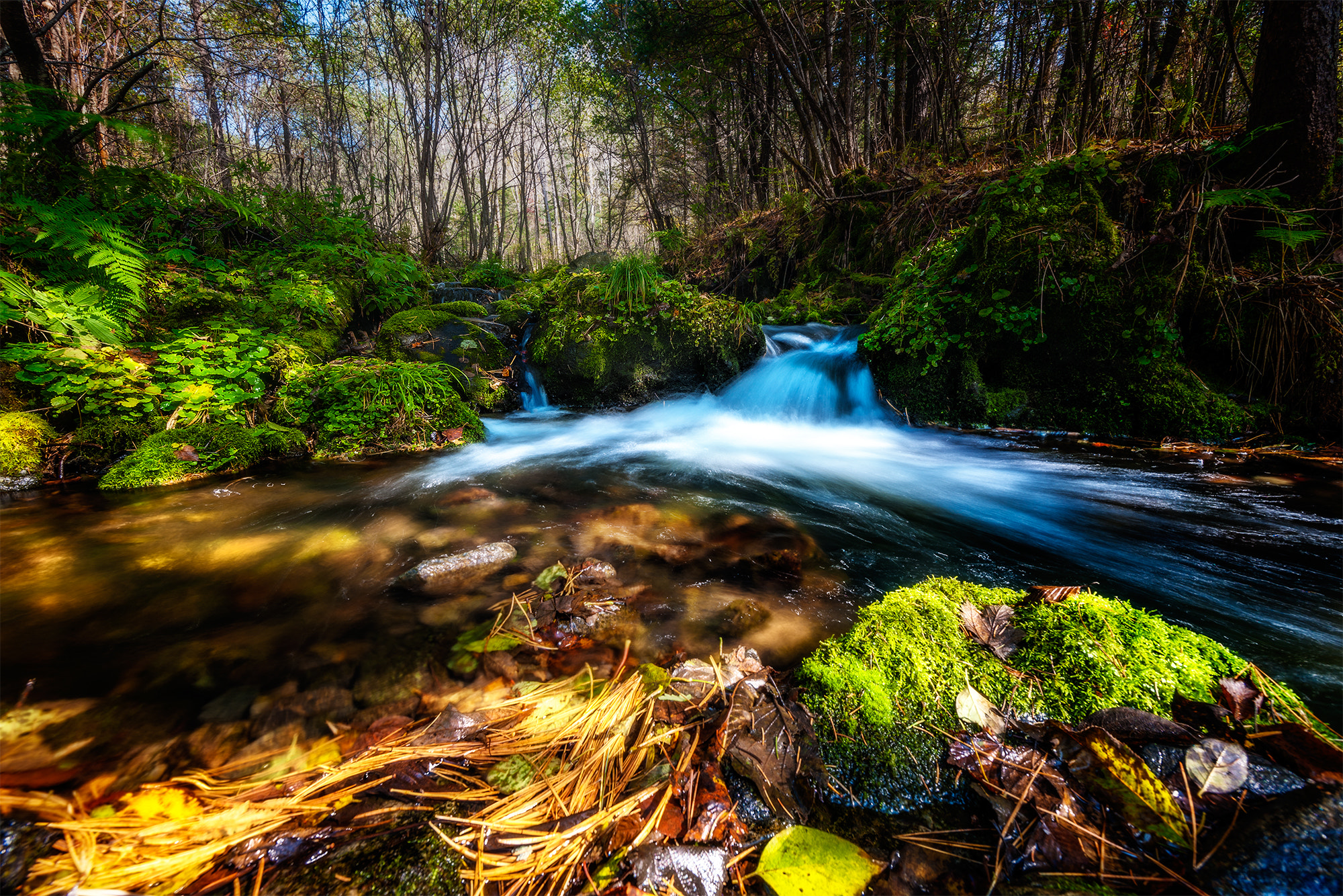 Nikon D3X sample photo. Autumn stream photography