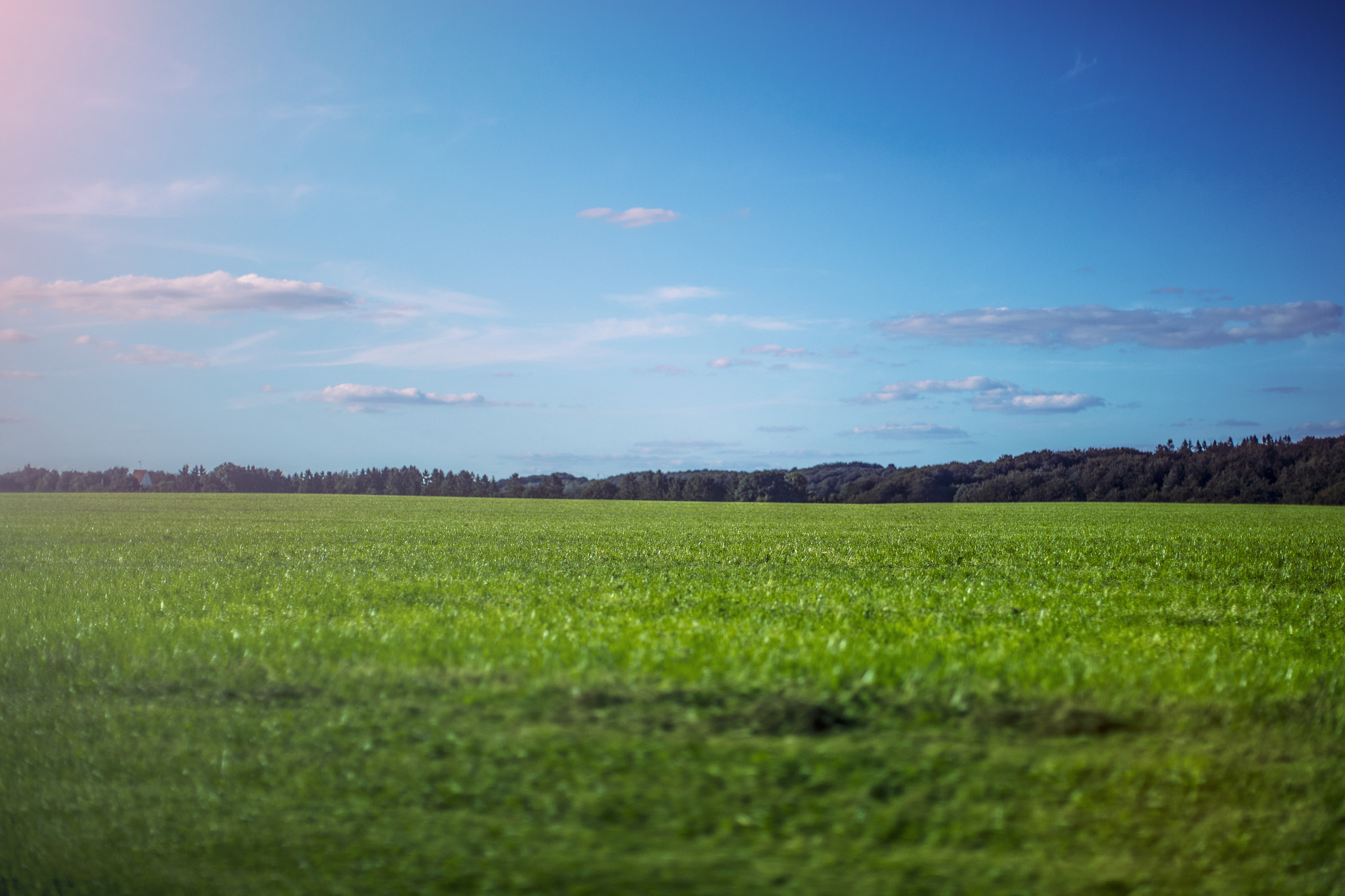 Canon EF 50mm F1.2L USM sample photo. Field.jpg photography