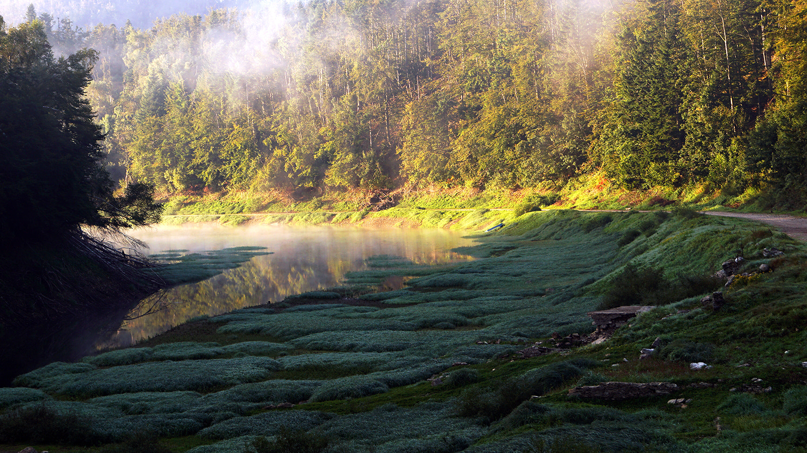 Sony SLT-A68 sample photo. Morning light photography