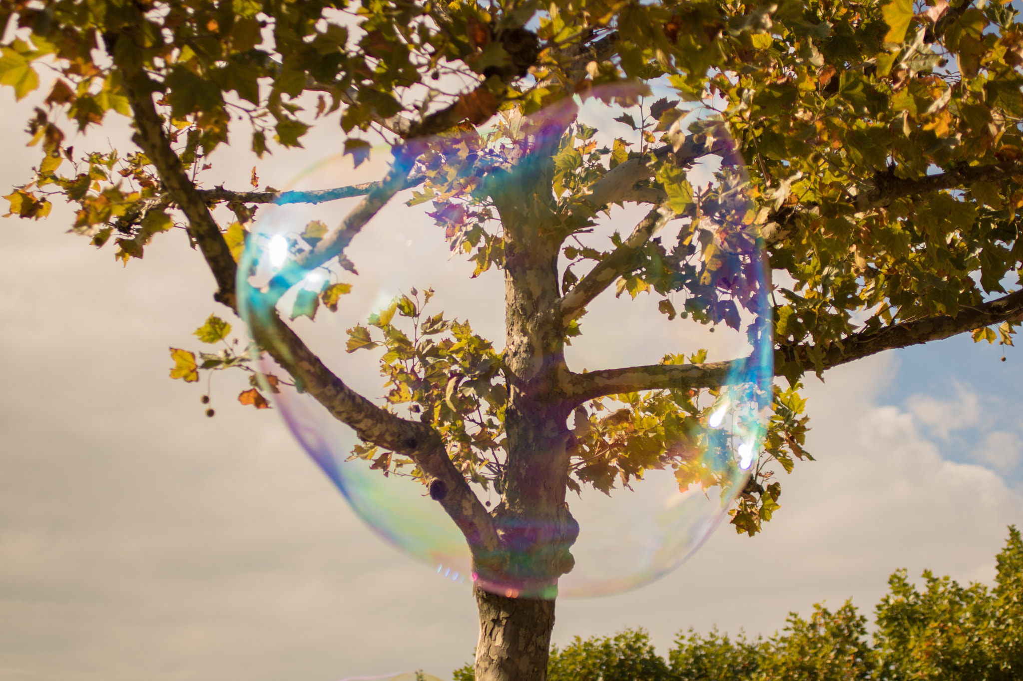 Canon EF 50mm F2.5 Macro sample photo. Bubble photography