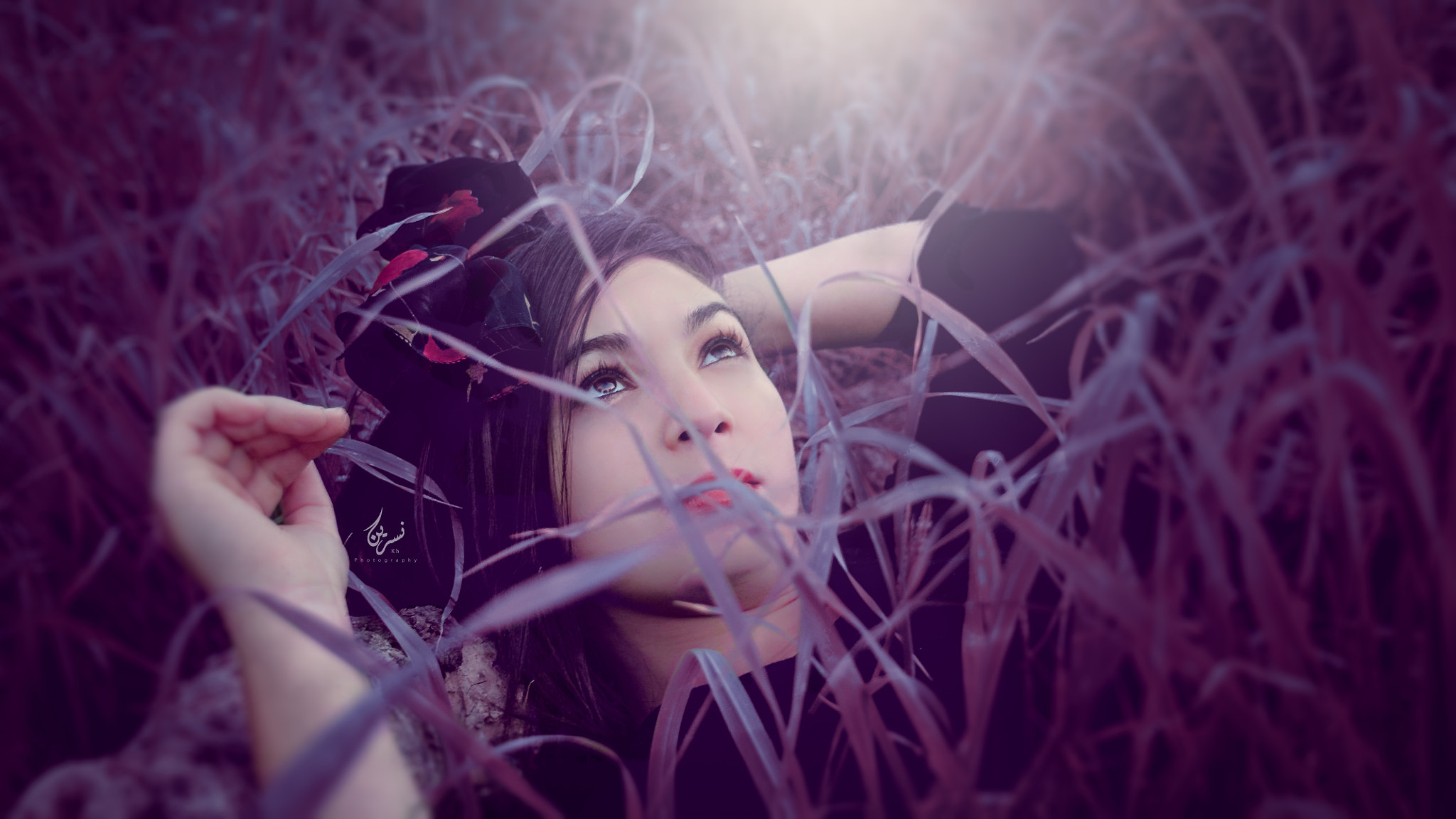 Sigma 18-200mm f/3.5-6.3 DC OS sample photo. Light of faith photography