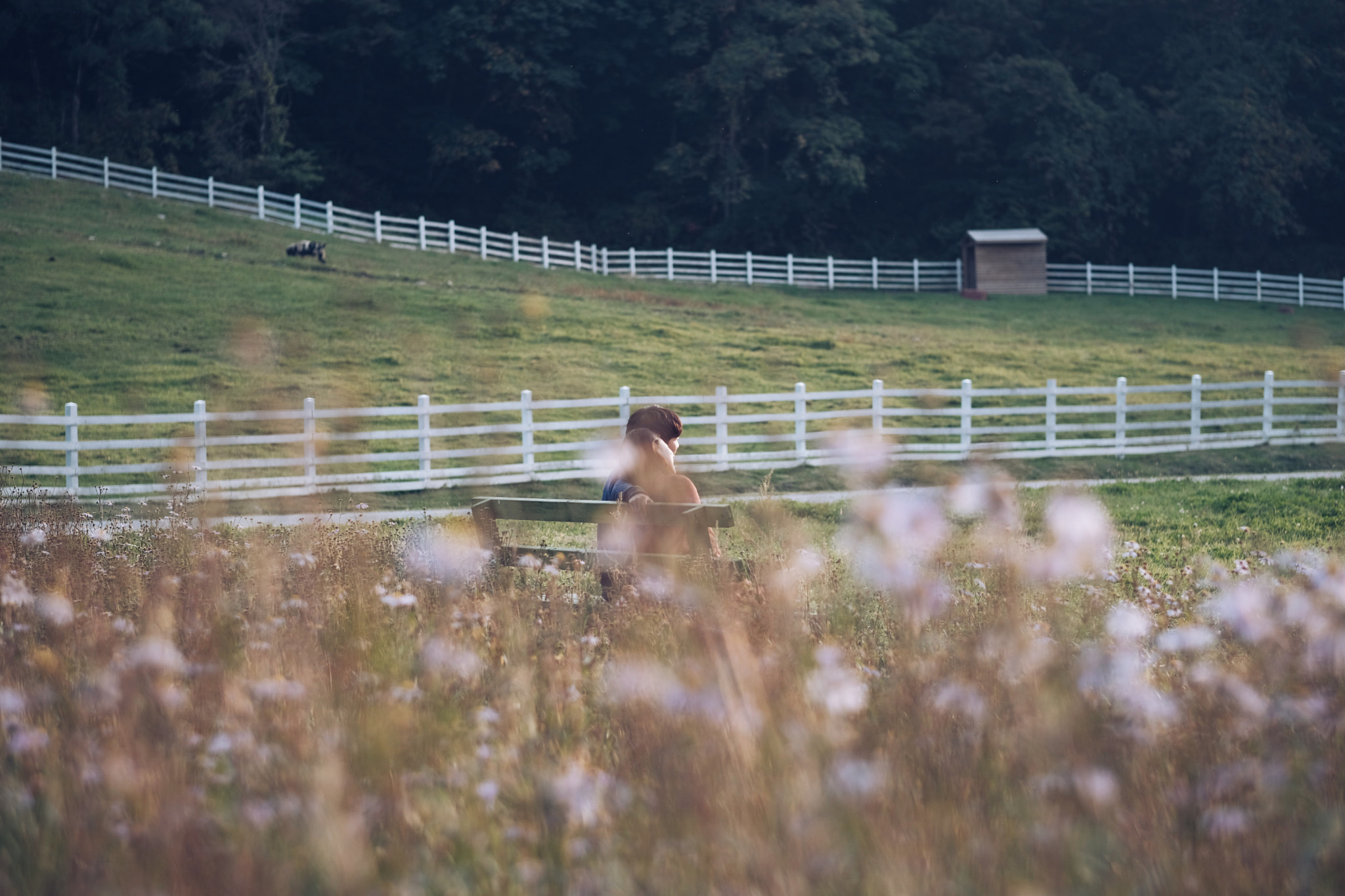 Fujifilm X-Pro2 + Fujifilm XF 56mm F1.2 R APD sample photo. Untitled photography