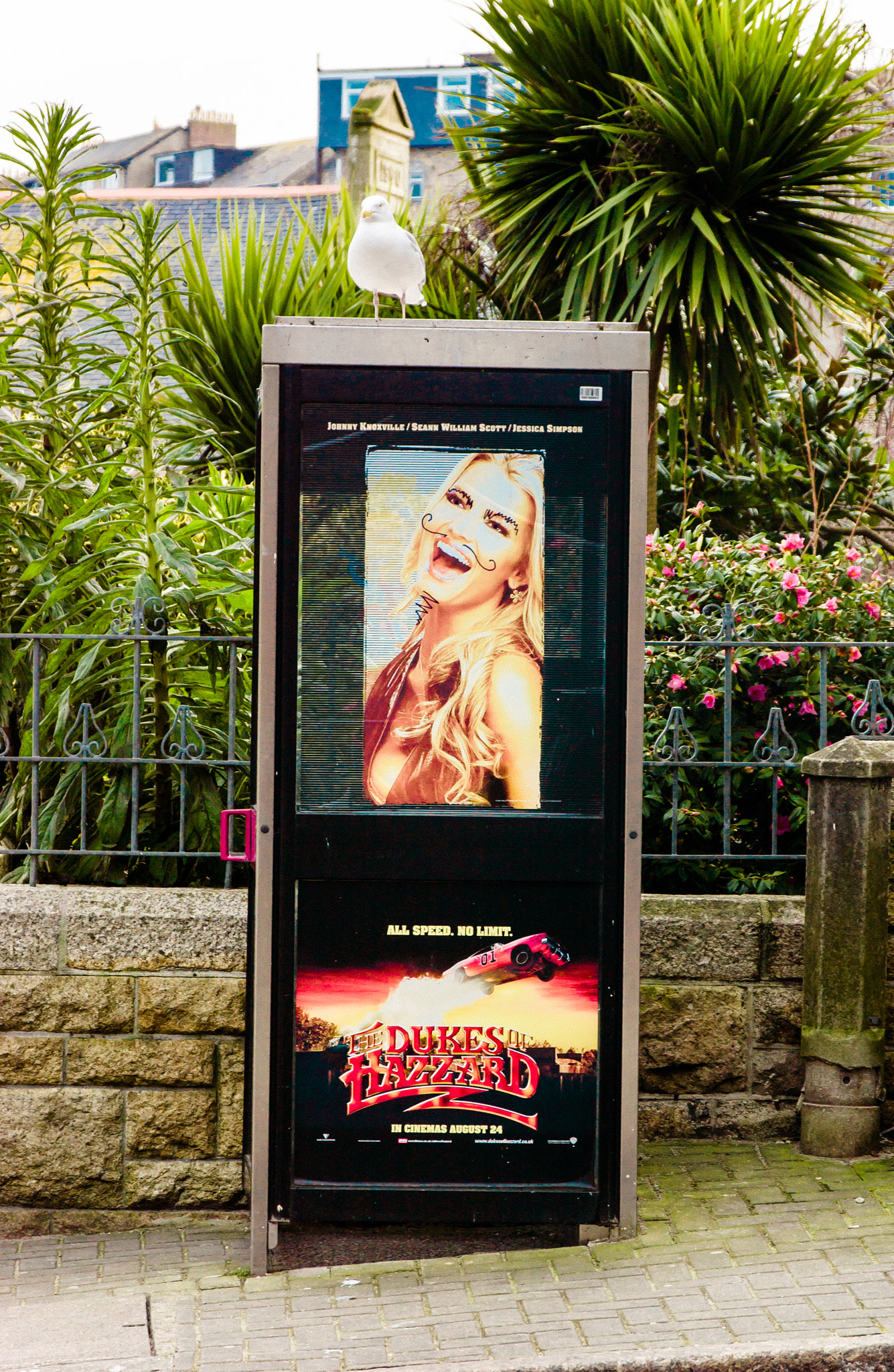 Nikon D1X sample photo. Telephone box graffiti photography