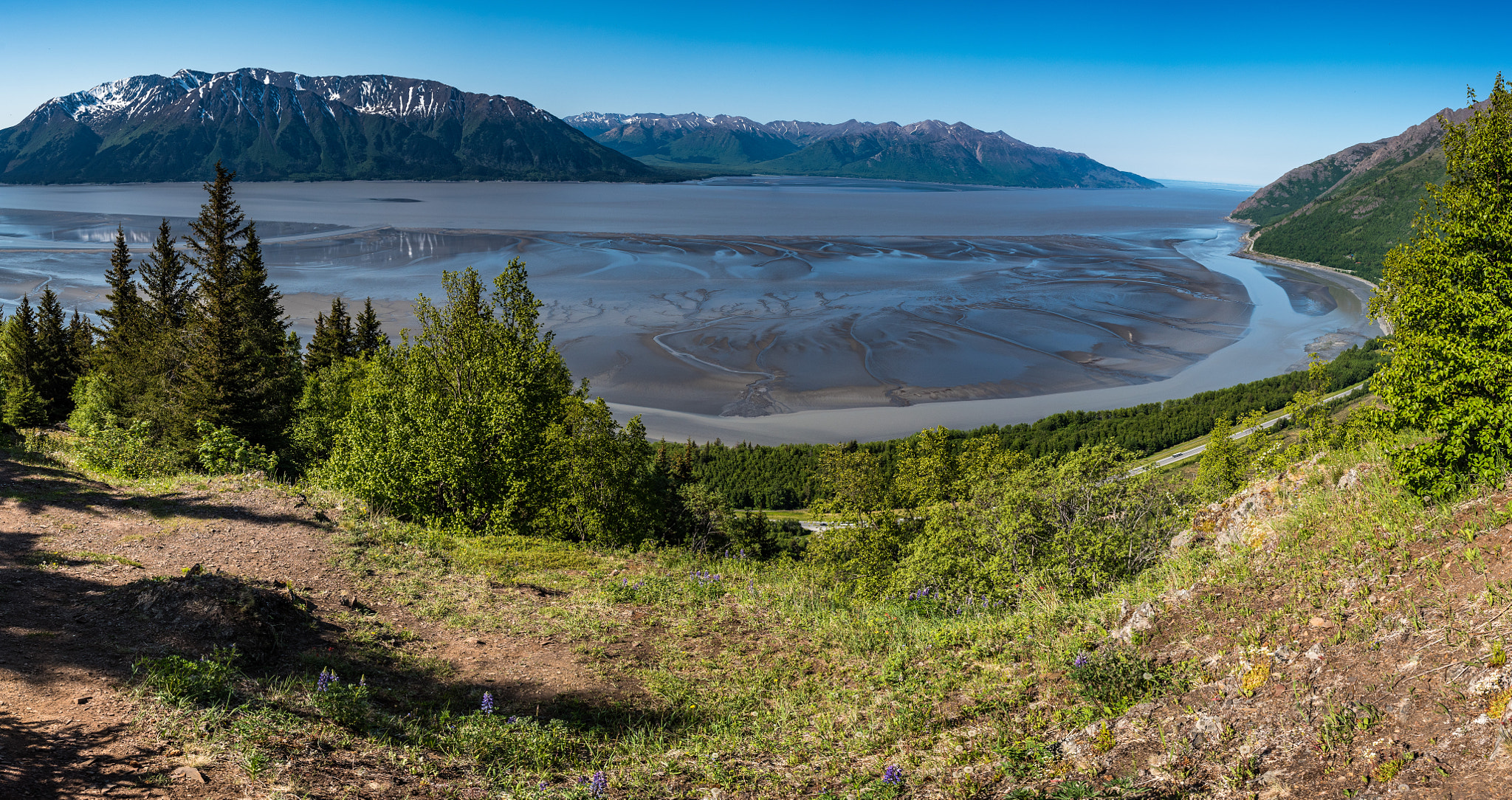 Nikon D750 + Nikon AF-S Nikkor 24mm F1.4G ED sample photo. Bird ridge trail photography