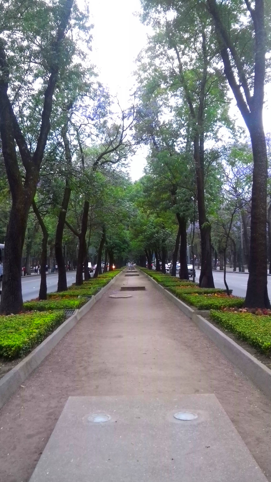 LG G Pro Lite sample photo. Perspectiva photography