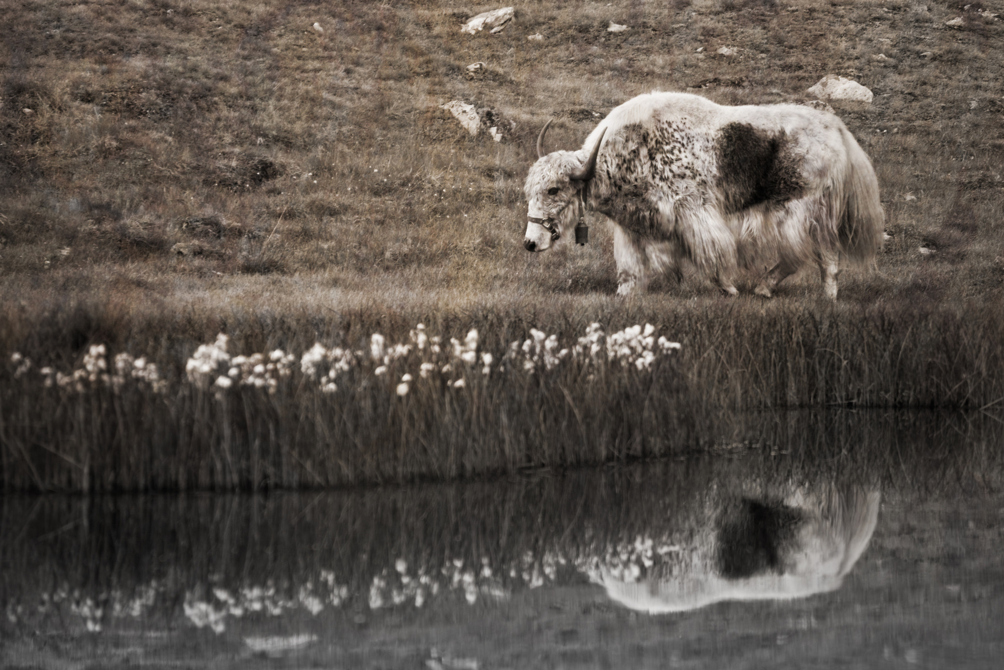 Nikon D800 + AF Nikkor 70-210mm f/4-5.6D sample photo. Down by the water photography