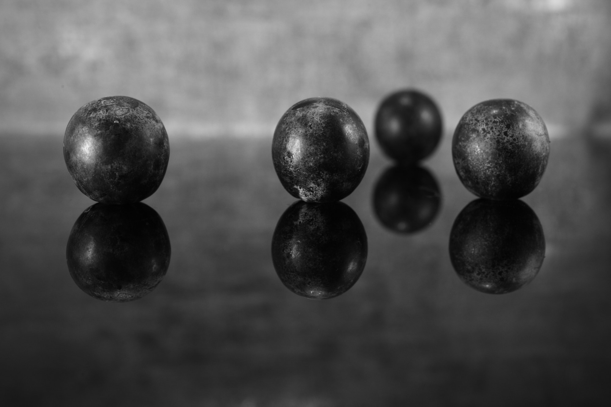 Canon EF 50mm F2.5 Macro sample photo. Biosphere photography