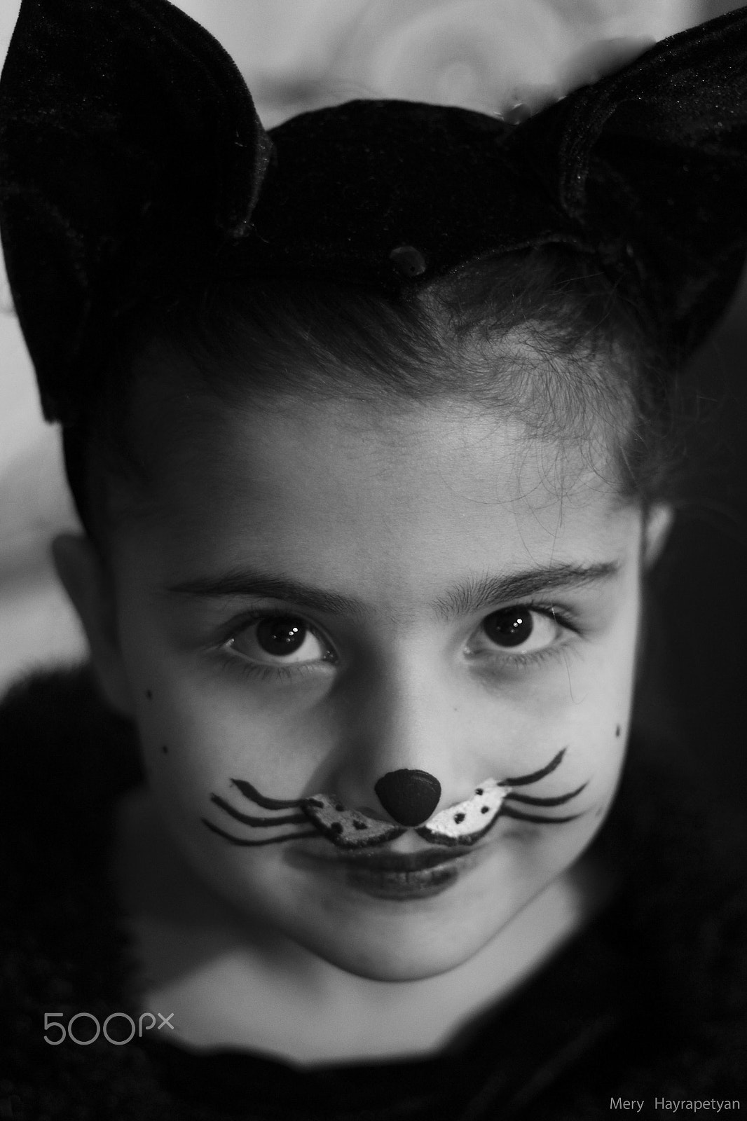 Canon EOS 650D (EOS Rebel T4i / EOS Kiss X6i) + Canon EF 50mm F1.8 II sample photo. Baby kitten photography