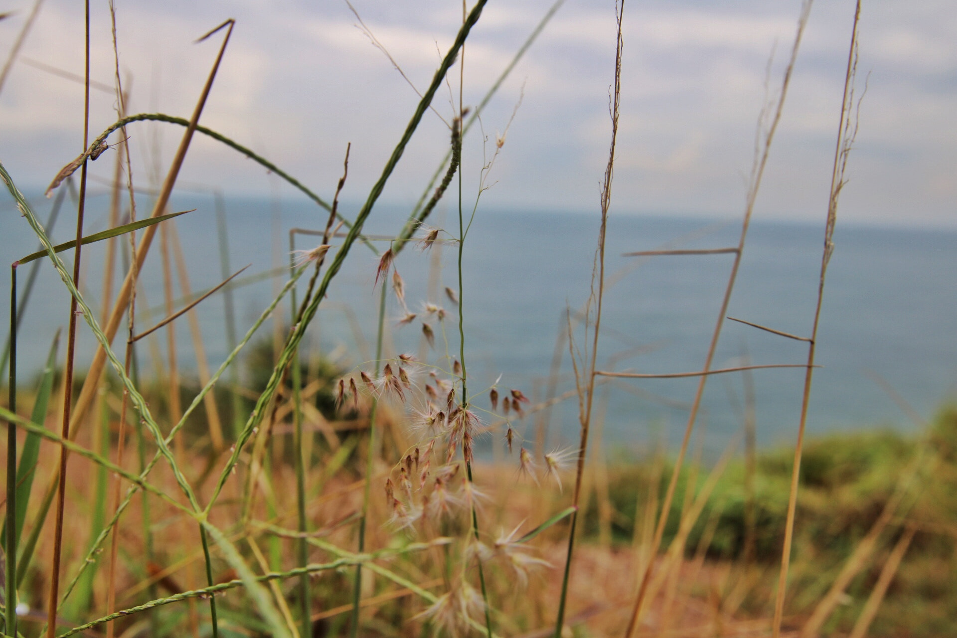 Canon EF 16-35mm F2.8L II USM sample photo