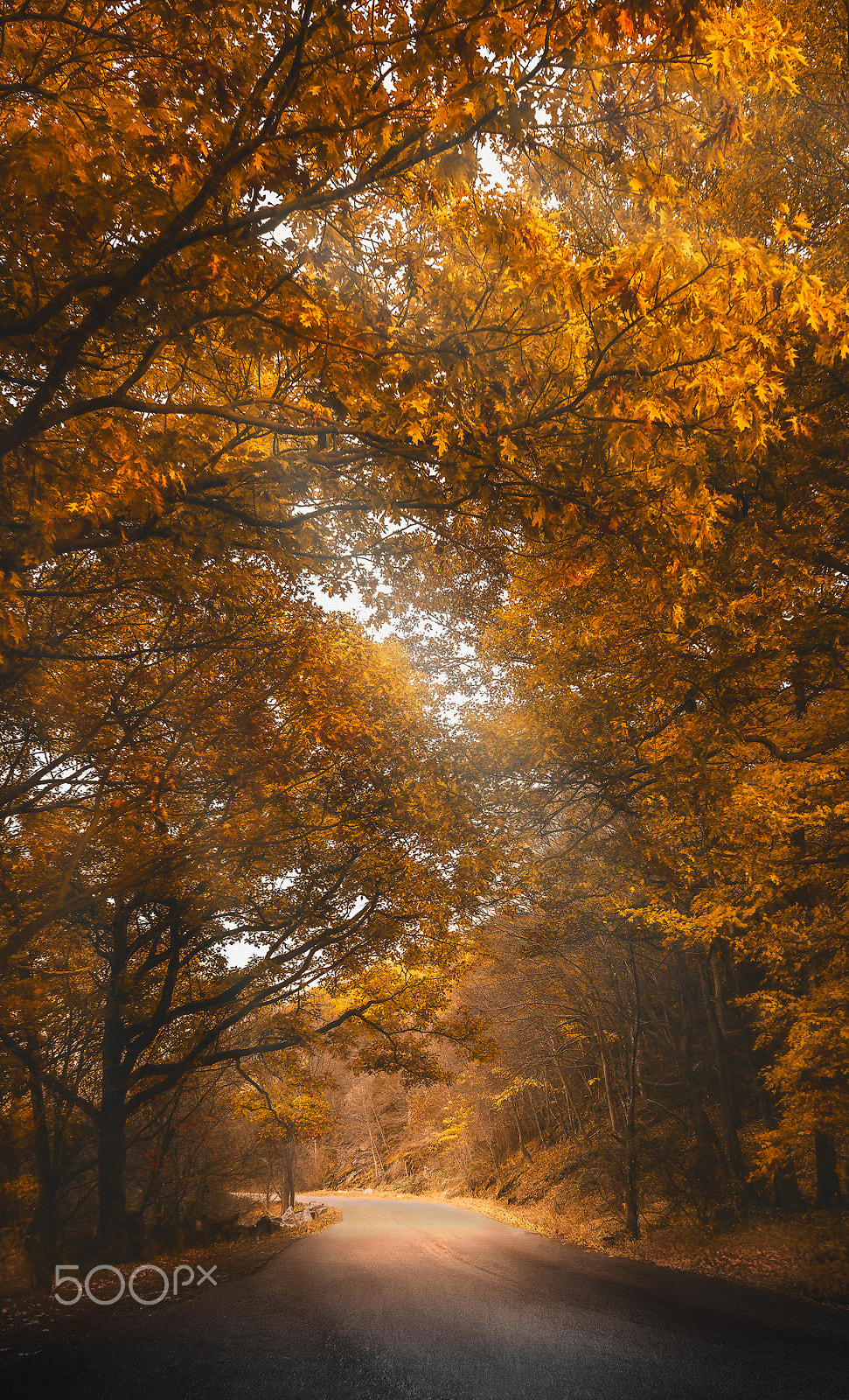 Sony a7R II + Sony FE 28-70mm F3.5-5.6 OSS sample photo. Unfolding photography