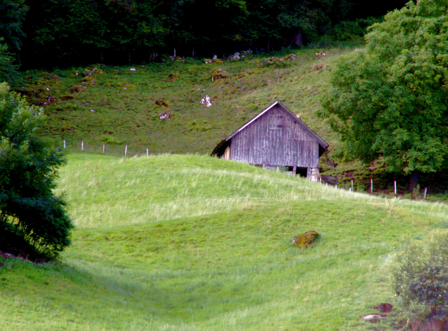 KONICA MINOLTA DiMAGE Z6 sample photo. Pict photography