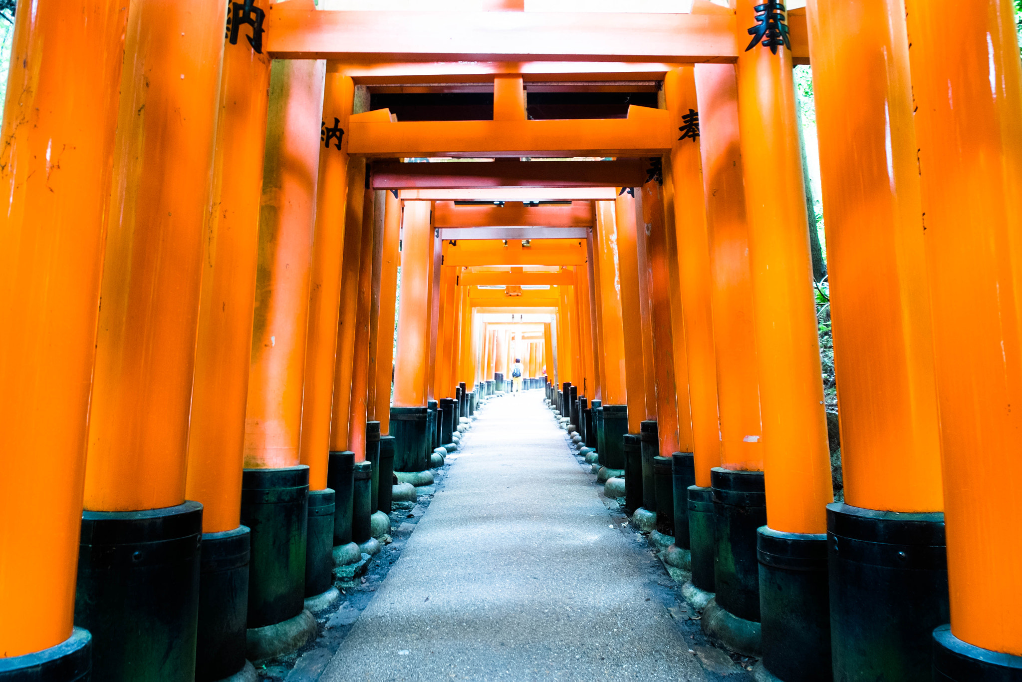 Fujifilm X-Pro1 sample photo. Fushimi inari shrine in kyoto photography