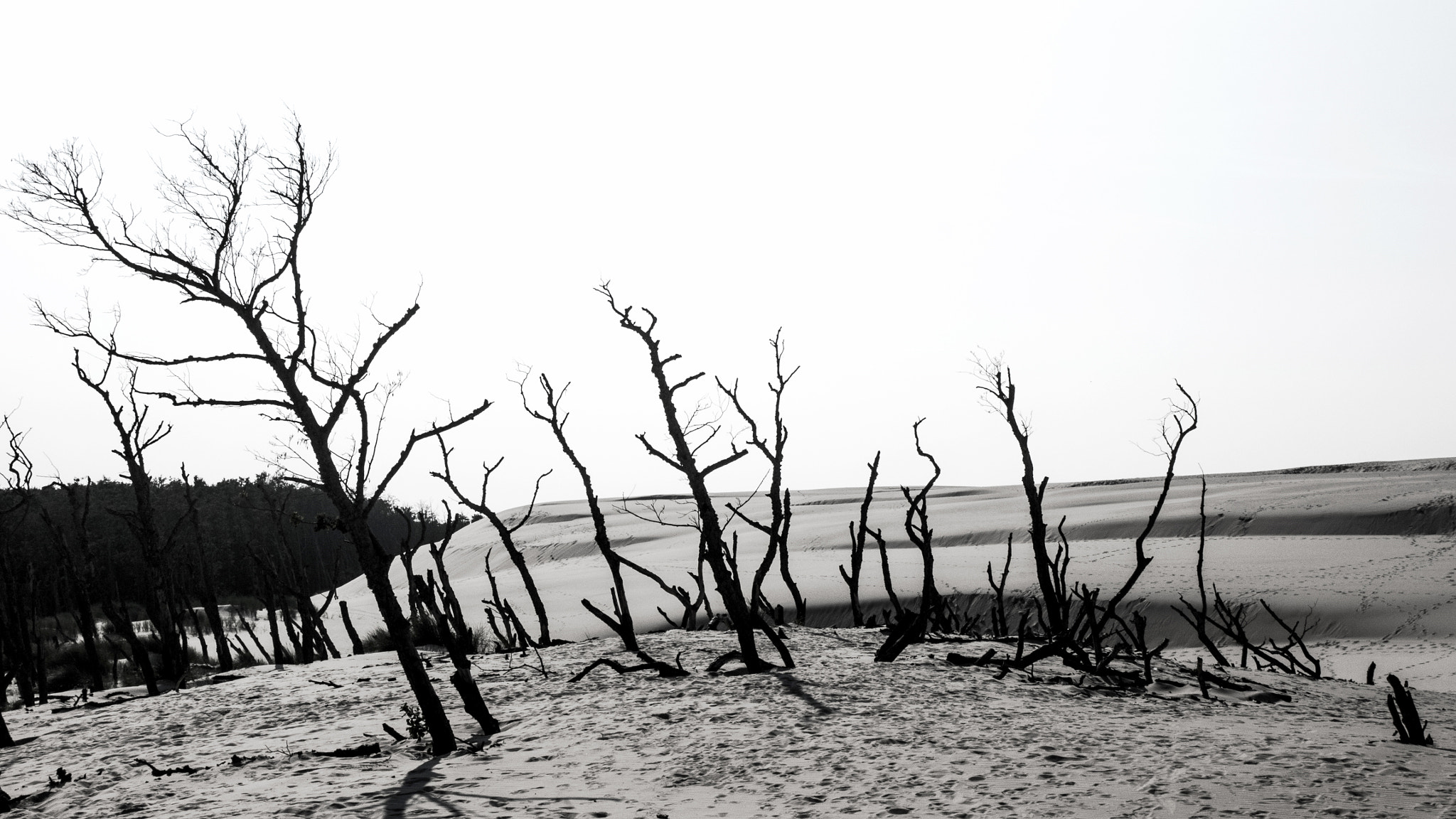 Panasonic DMC-GM1S sample photo. Sand dunes photography