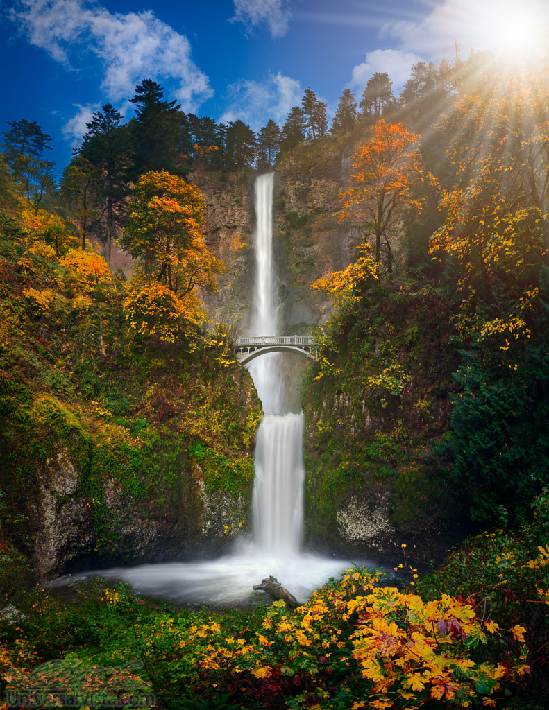 Multnomah Falls in Autumn colors by William Freebilly photography / 500px