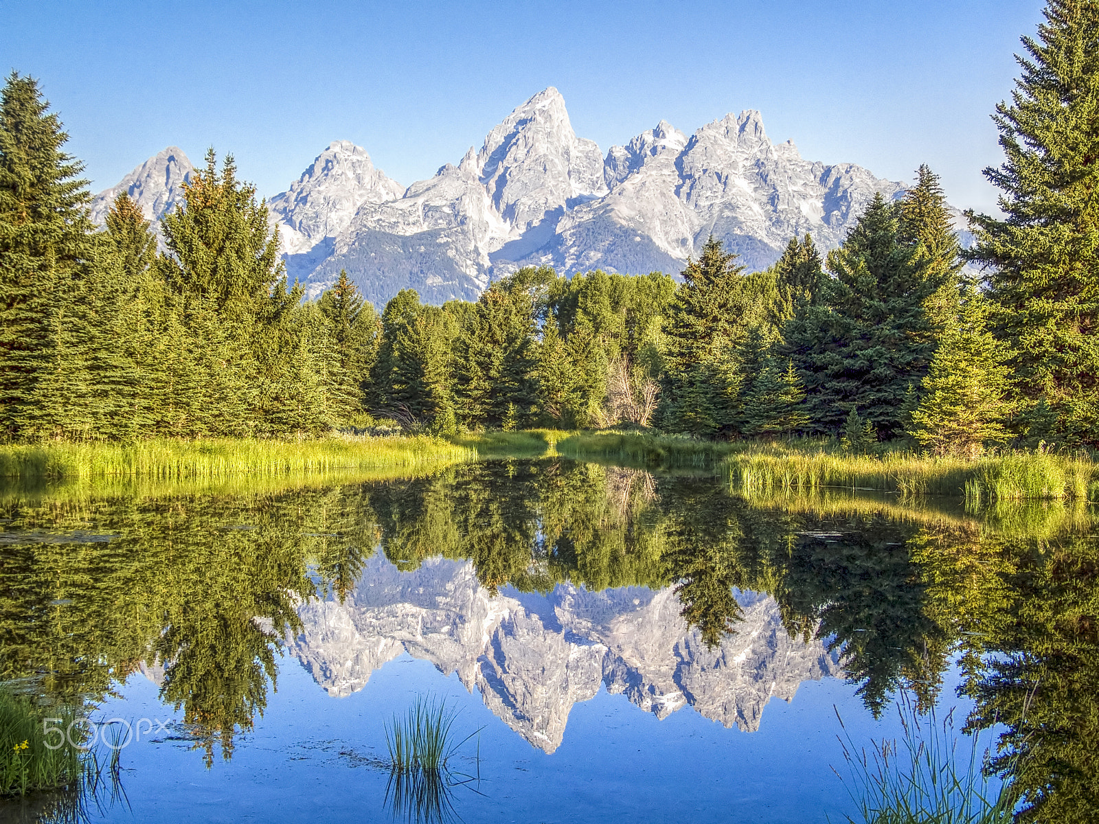 Fujifilm FinePix S9000 sample photo. Mountain reflection at schwabacher landing photography