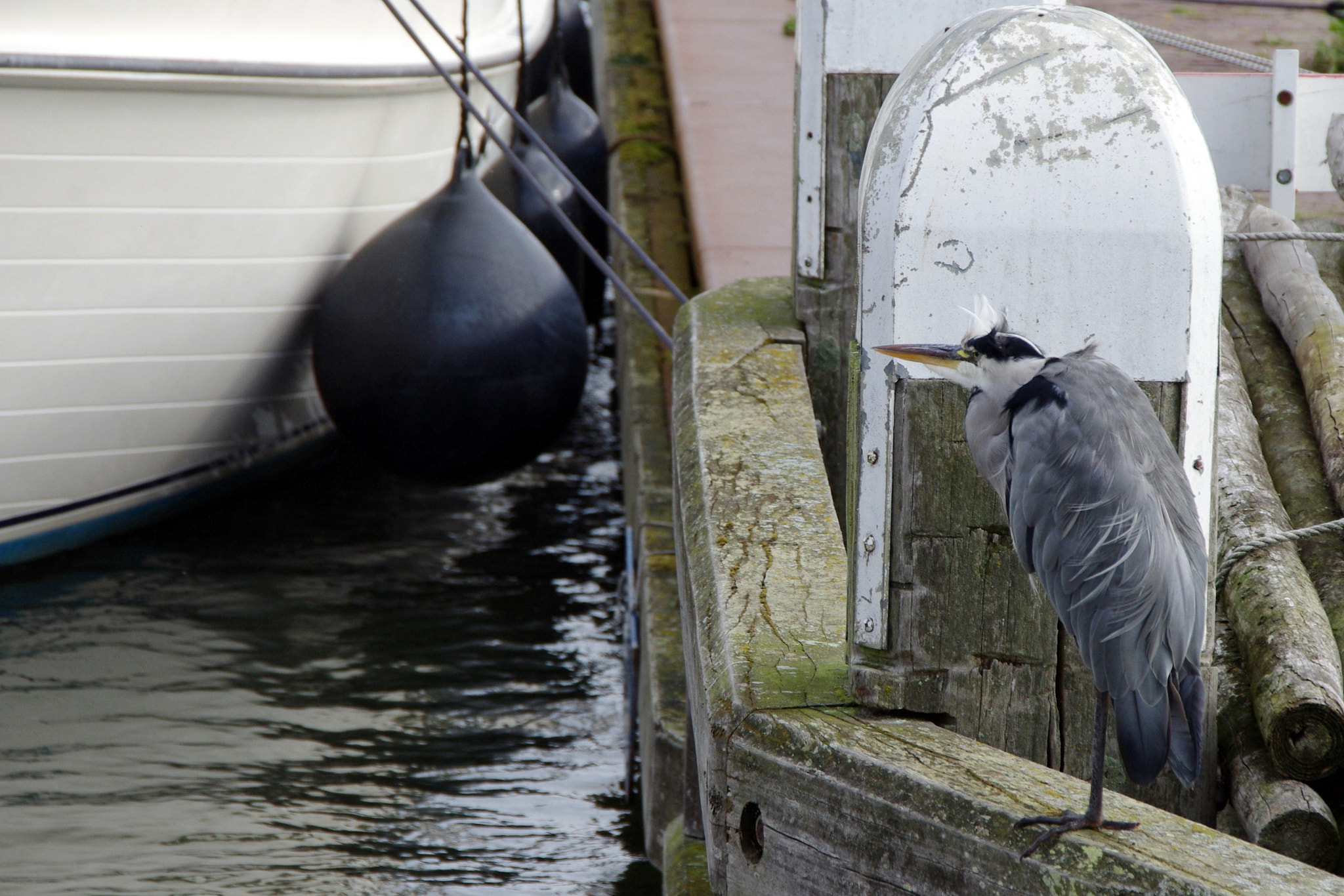 Pentax K-x sample photo. Boat trip to bataviawerf photography