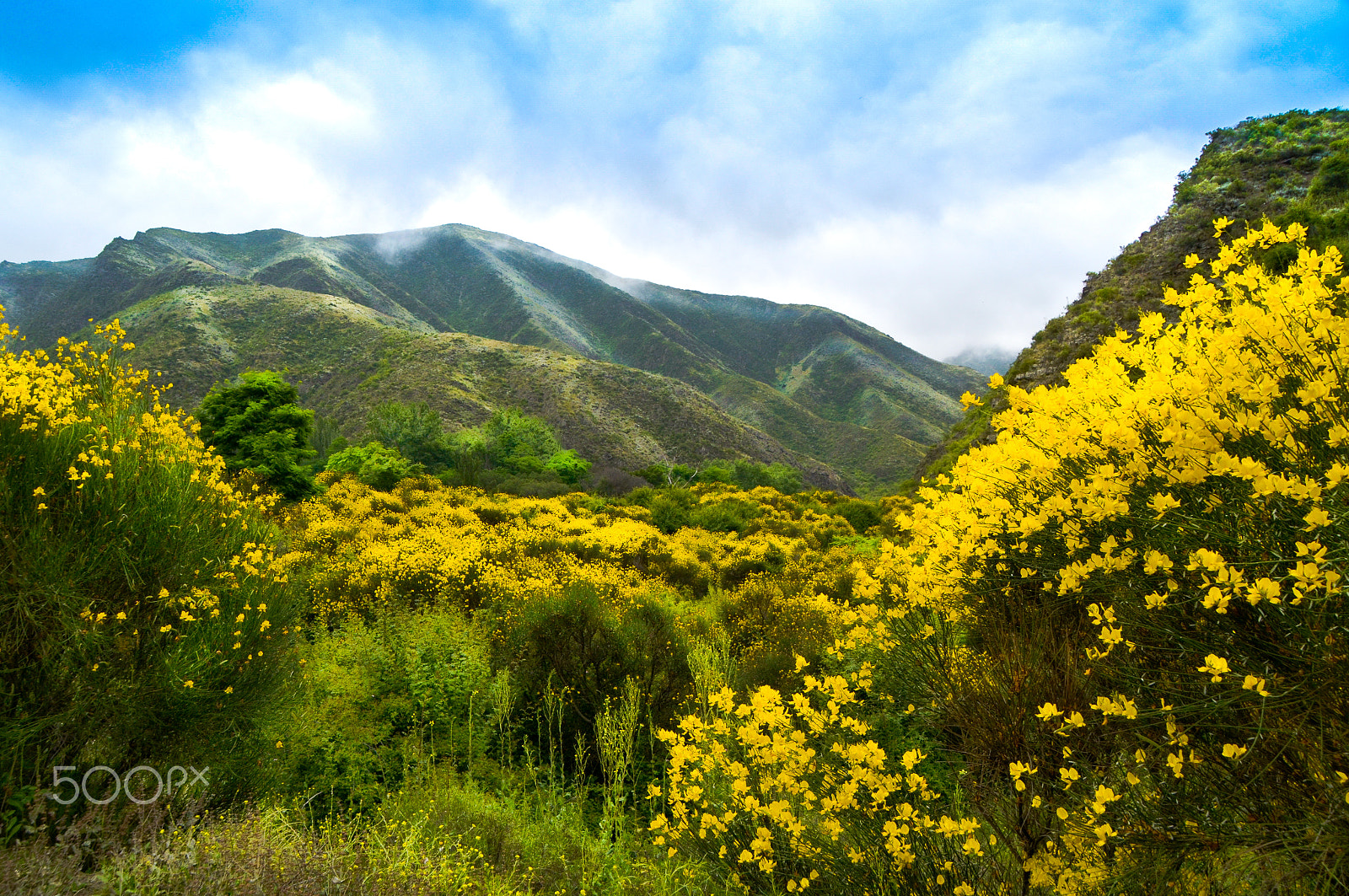 Nikon D5100 + Nikon PC-E Nikkor 24mm F3.5D ED Tilt-Shift sample photo. Natural gardens villavicencio photography