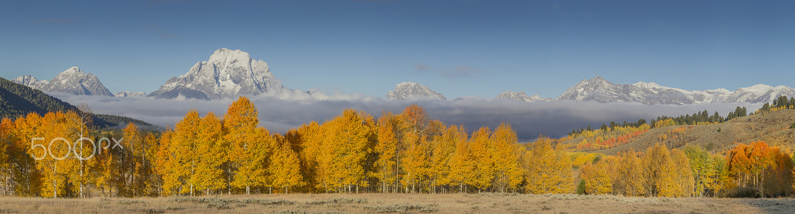 Canon EOS-1D Mark IV sample photo. Fall colors in the teton mountain range photography