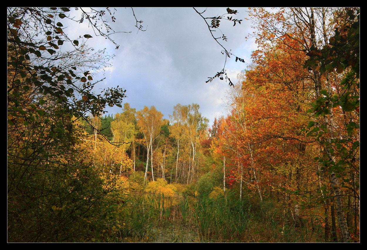 Sigma 18-125mm F3.8-5.6 DC OS HSM sample photo. Already  autumn... photography