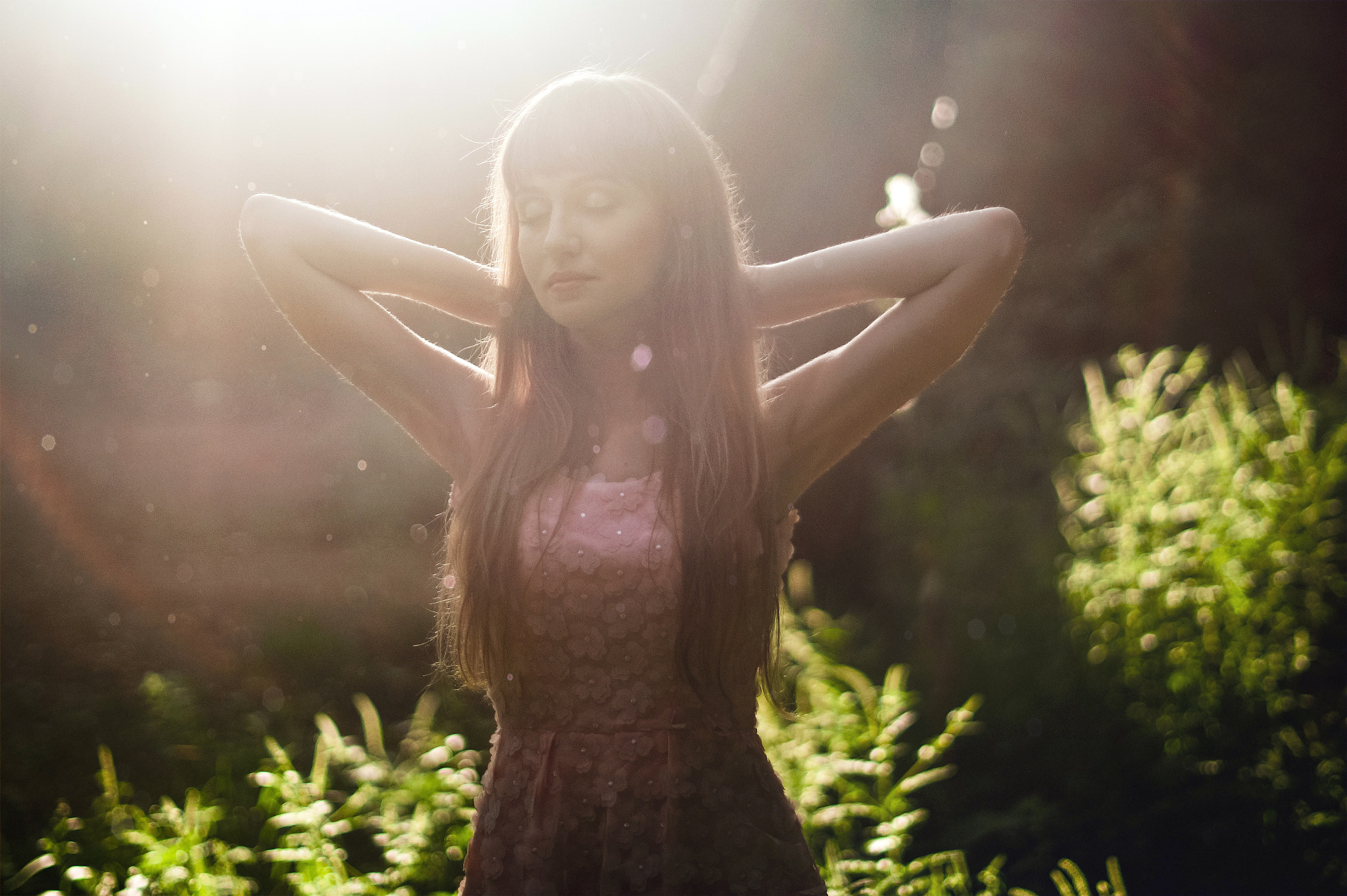 Minolta AF 50mm F1.4 [New] sample photo. Sunrise in the forest photography