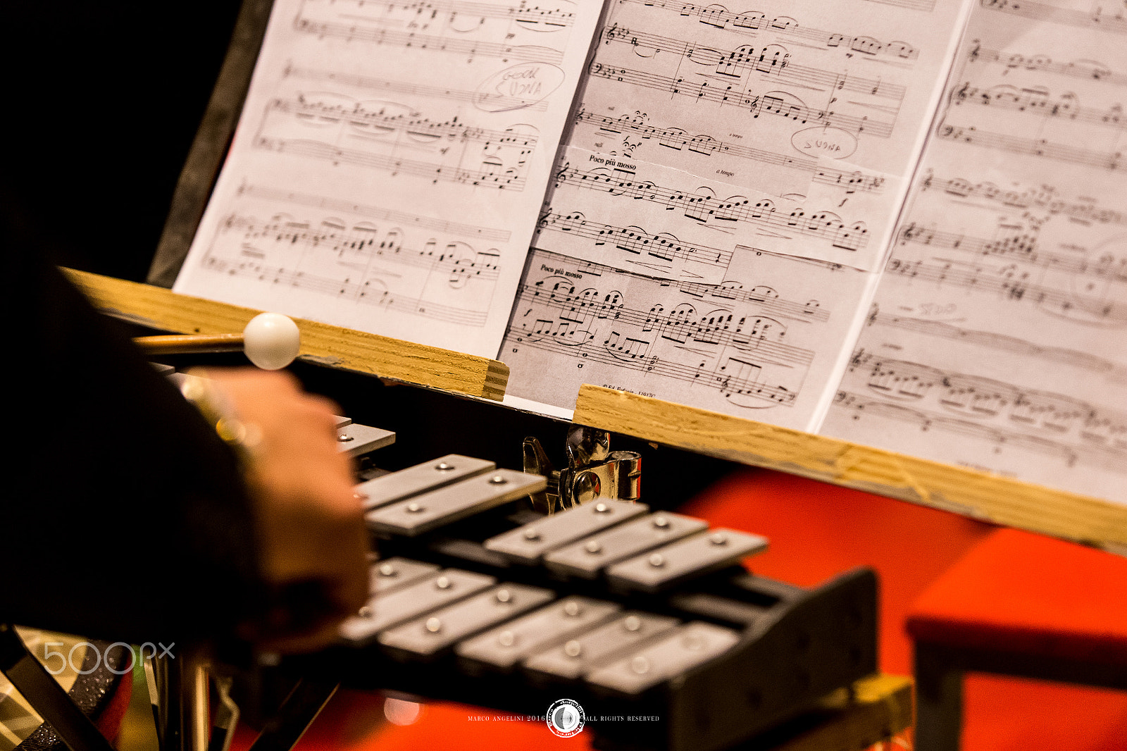Canon EF 70-200mm F2.8L IS USM sample photo. Playing xylophone photography