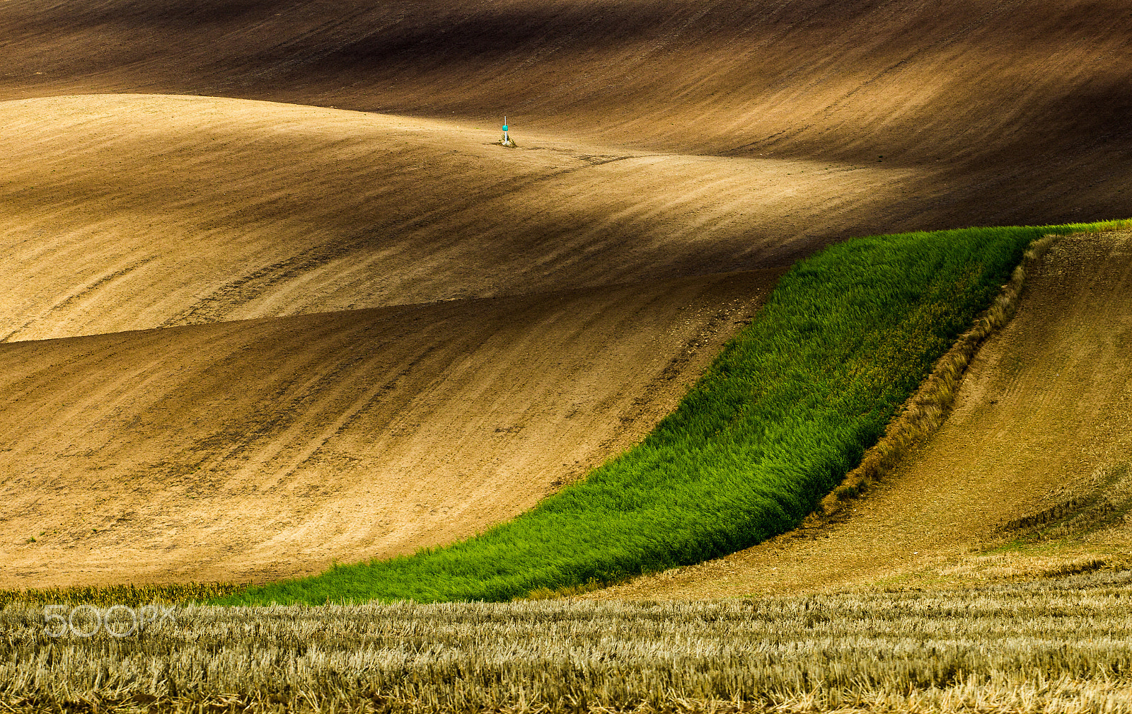 Canon EOS 600D (Rebel EOS T3i / EOS Kiss X5) + Canon EF 70-200mm F4L USM sample photo. South moravia i photography