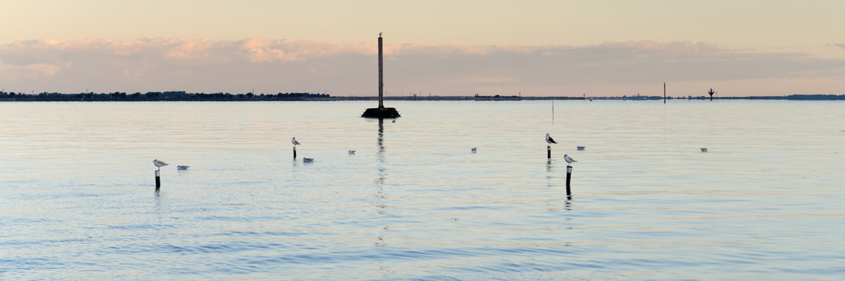 Nikon AF-S Nikkor 28-70mm F2.8 ED-IF sample photo. Vue sur le gois photography