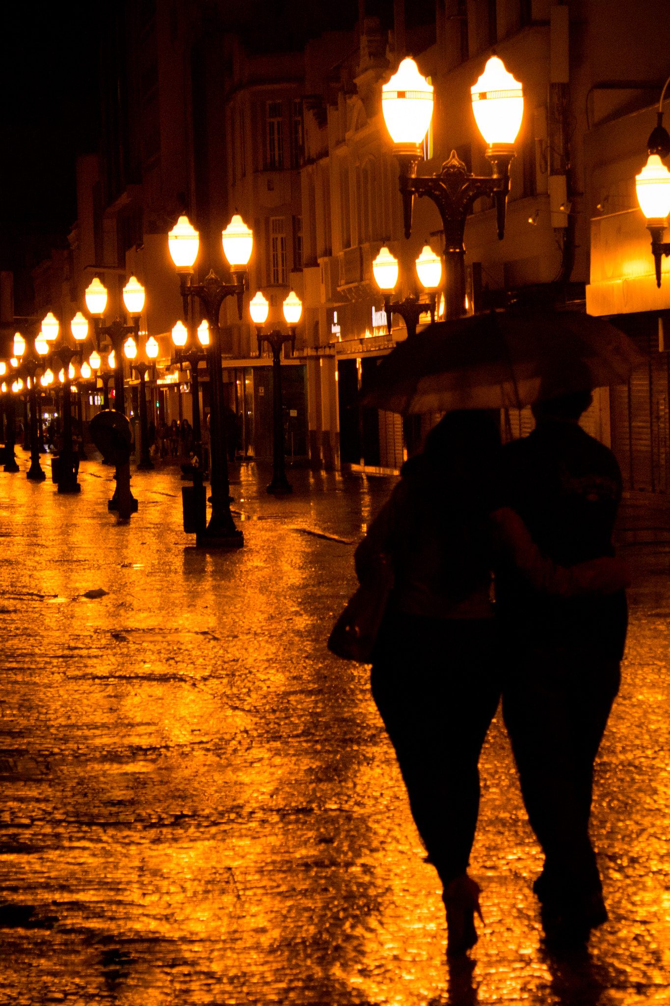 Canon EOS 650D (EOS Rebel T4i / EOS Kiss X6i) sample photo. Rain walk photography