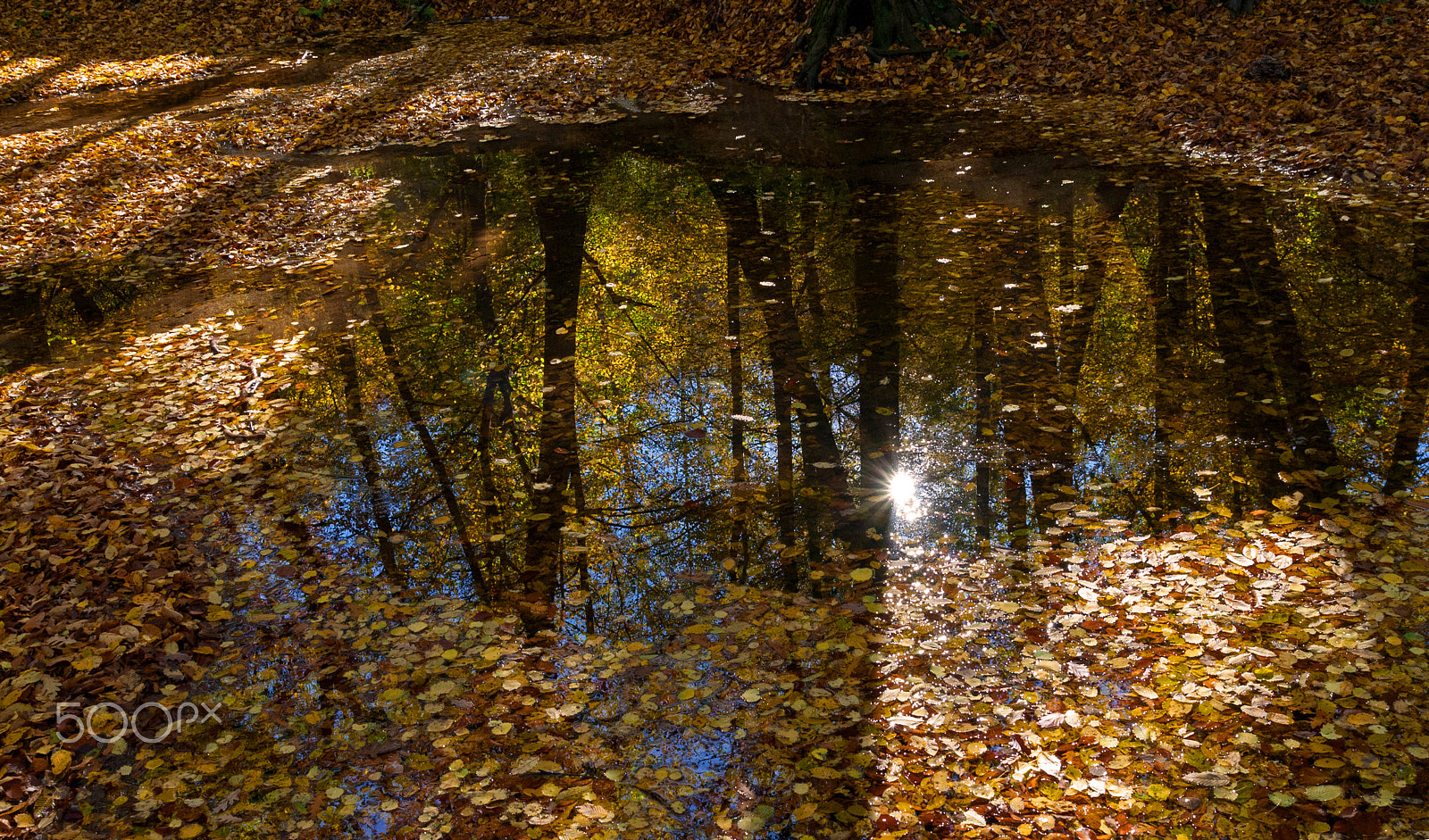 Tamron SP AF 17-50mm F2.8 XR Di II LD Aspherical (IF) sample photo. Reflection in the golden river photography