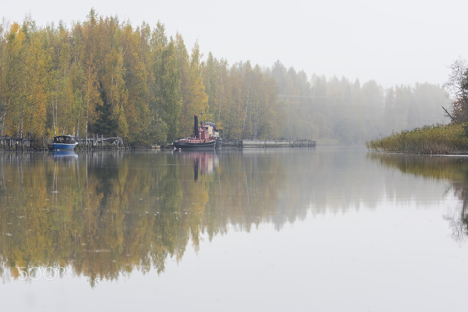 Sigma 70-200mm F2.8 EX DG OS HSM sample photo. Autumn mornig photography