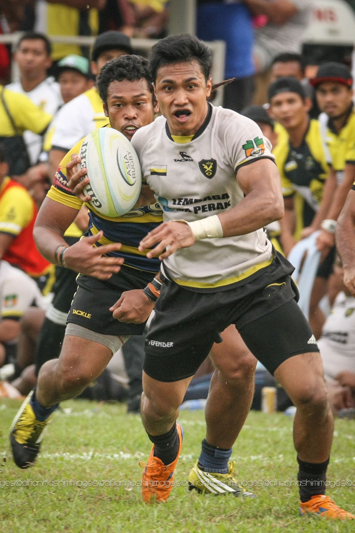 Canon EOS-1D Mark III sample photo. Pa2016 - perak vs perlis photography
