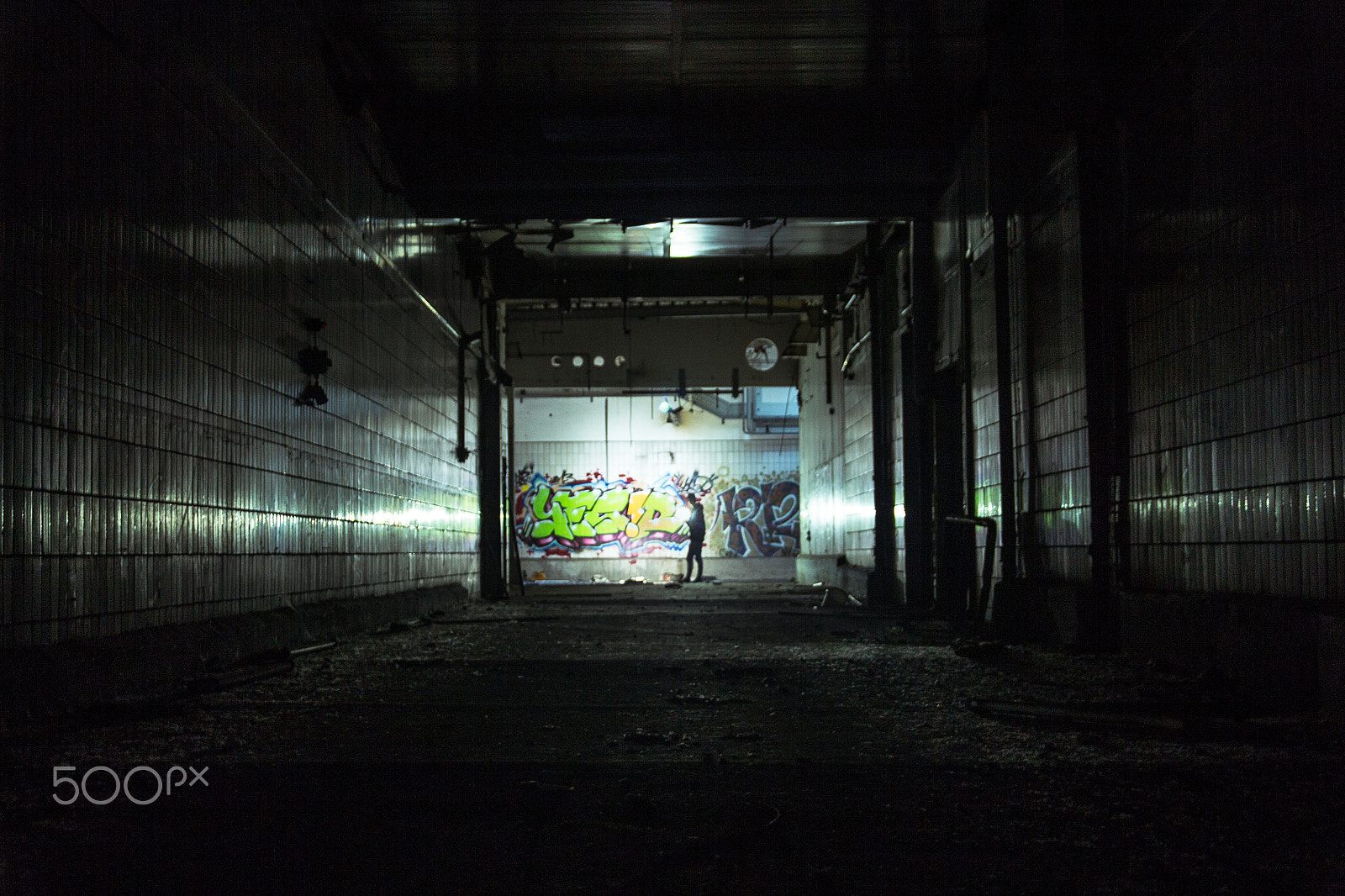 Canon EOS 650D (EOS Rebel T4i / EOS Kiss X6i) sample photo. Light in the dark photography