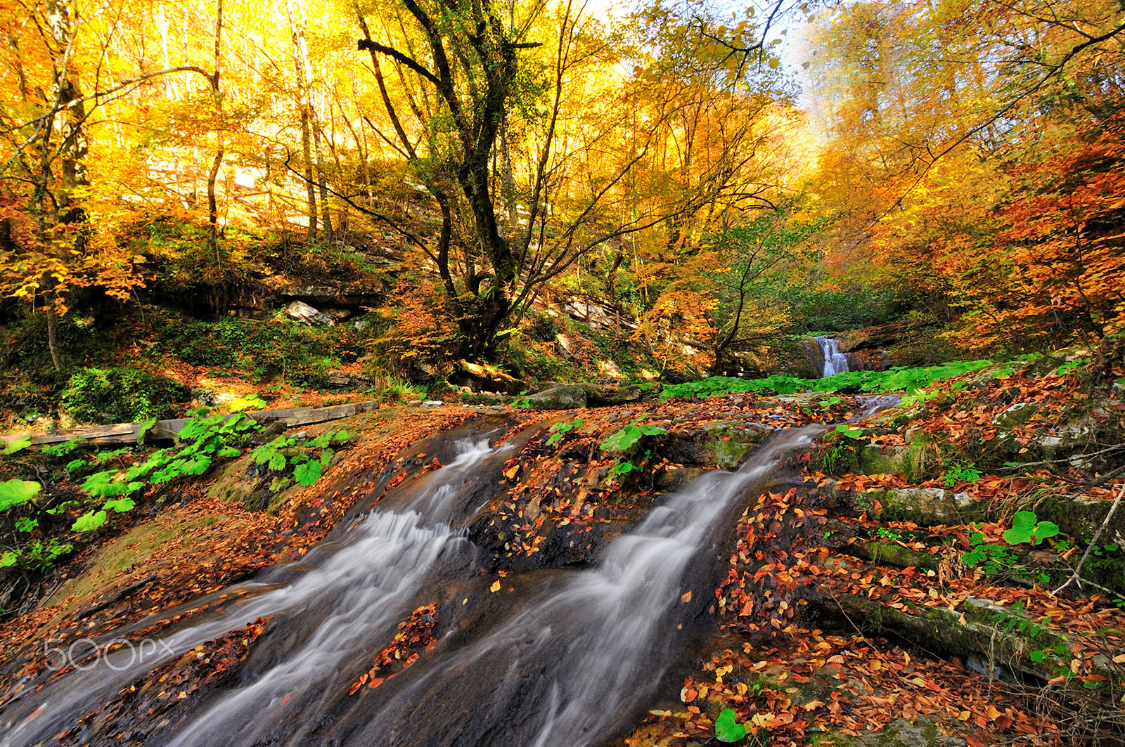 Nikon D300 + Sigma 10-20mm F3.5 EX DC HSM sample photo. Yellow waterfall photography