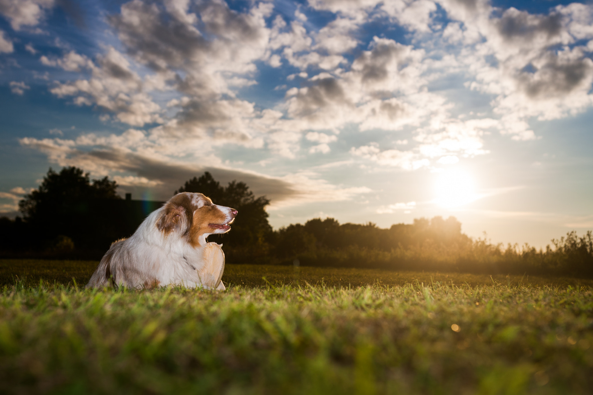 Canon EOS-1D Mark III sample photo. Enjoying the sunshine photography