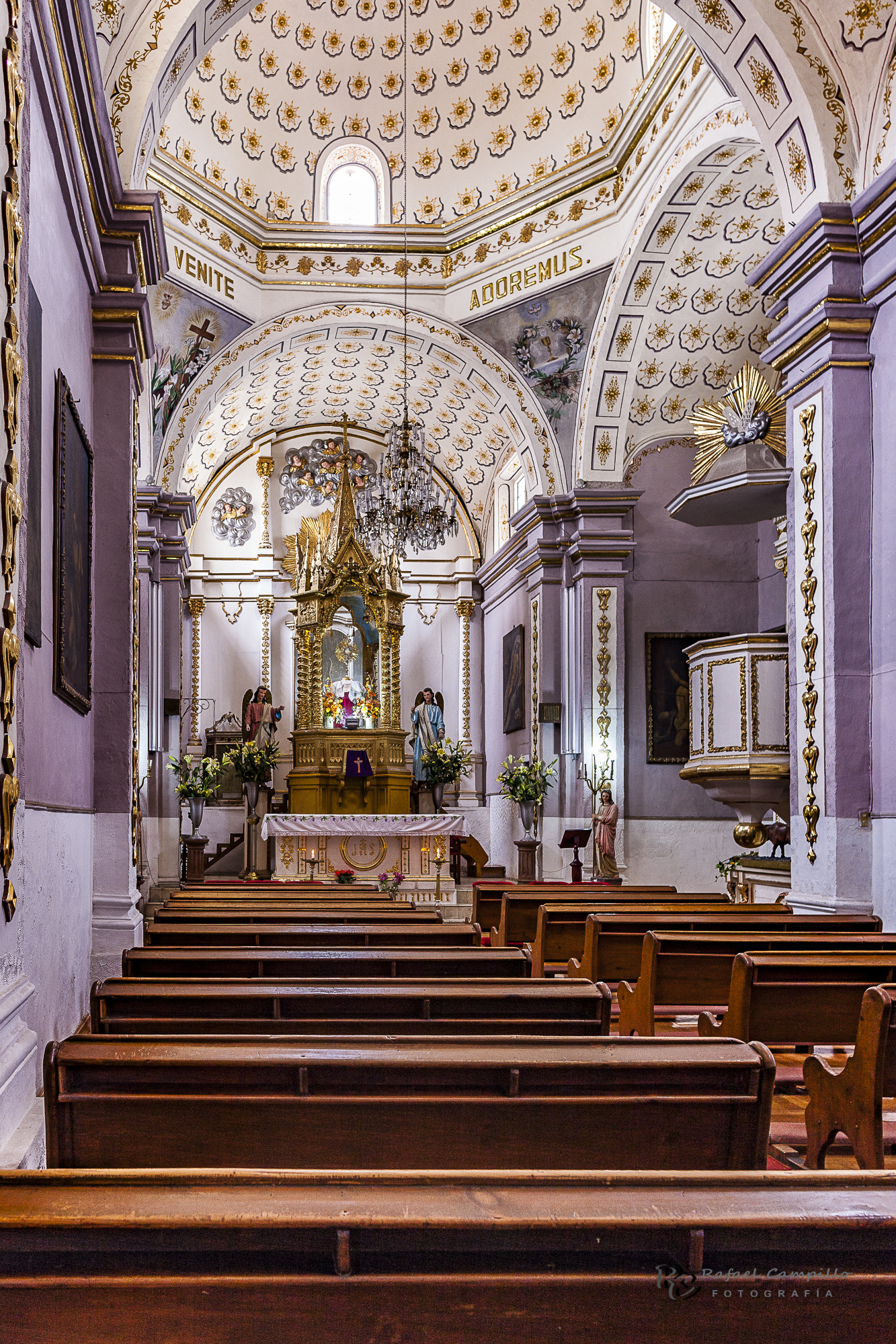 Canon EOS 5D Mark II + Canon EF 24mm F2.8 IS USM sample photo. Catedral san luis obispo photography