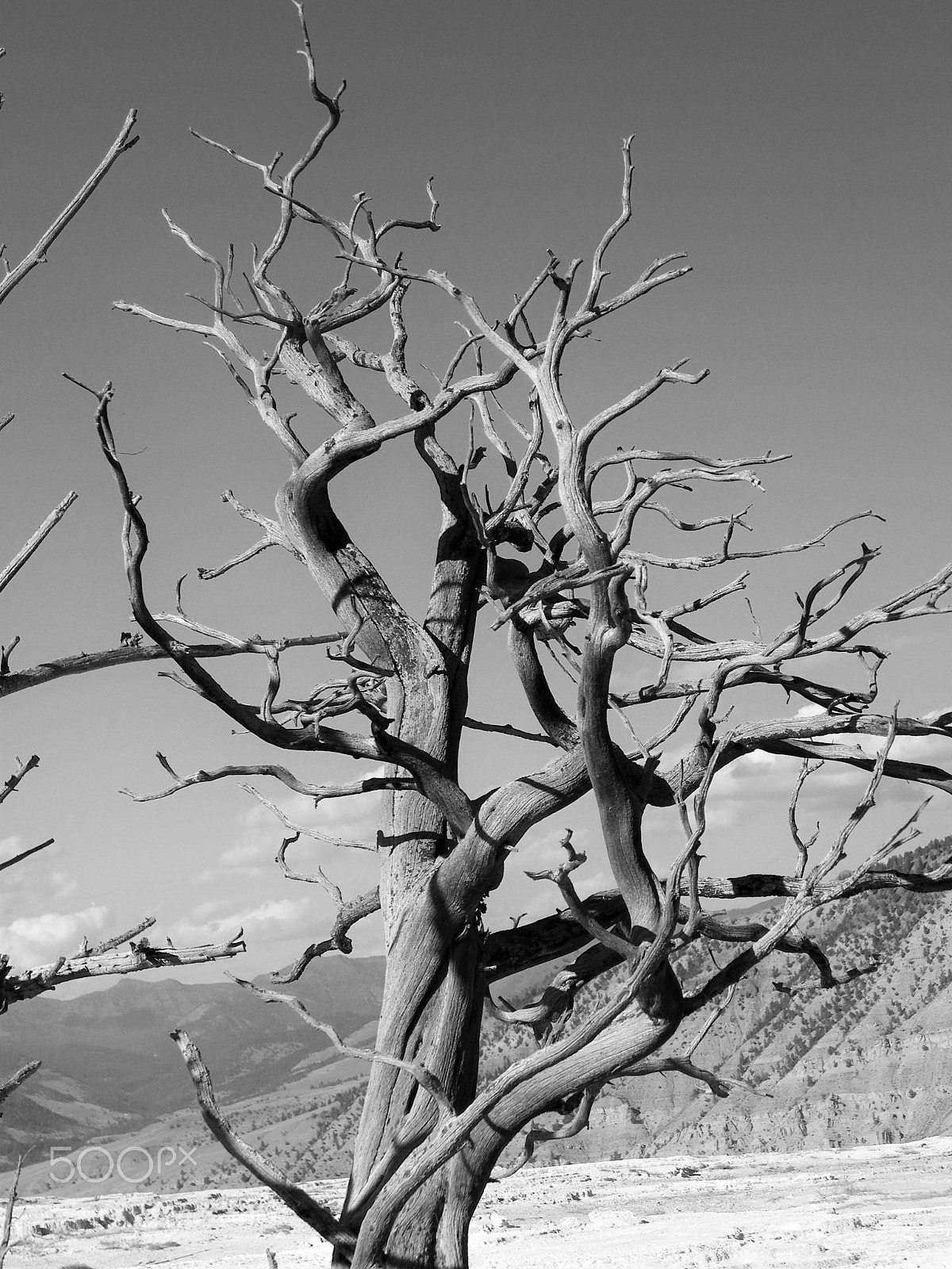 Pentax X90 sample photo. El tiempo photography