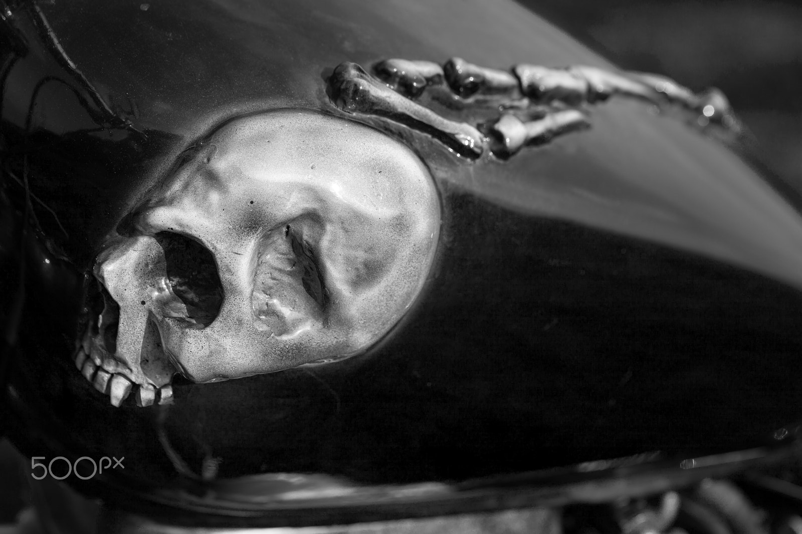 Canon EF 100mm F2.8L Macro IS USM sample photo. Skull photography