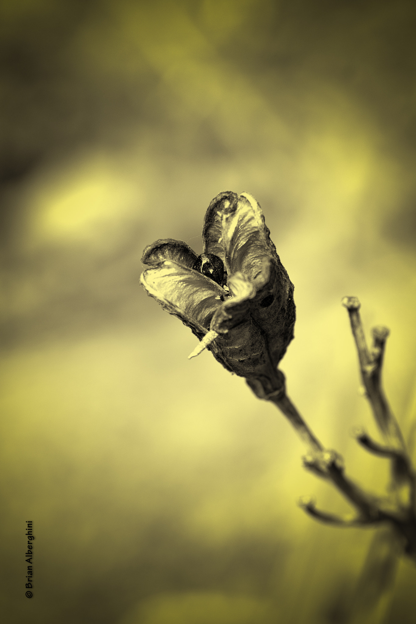 Nikon D7100 + Sigma 24-105mm F4 DG OS HSM Art sample photo. Circle photography