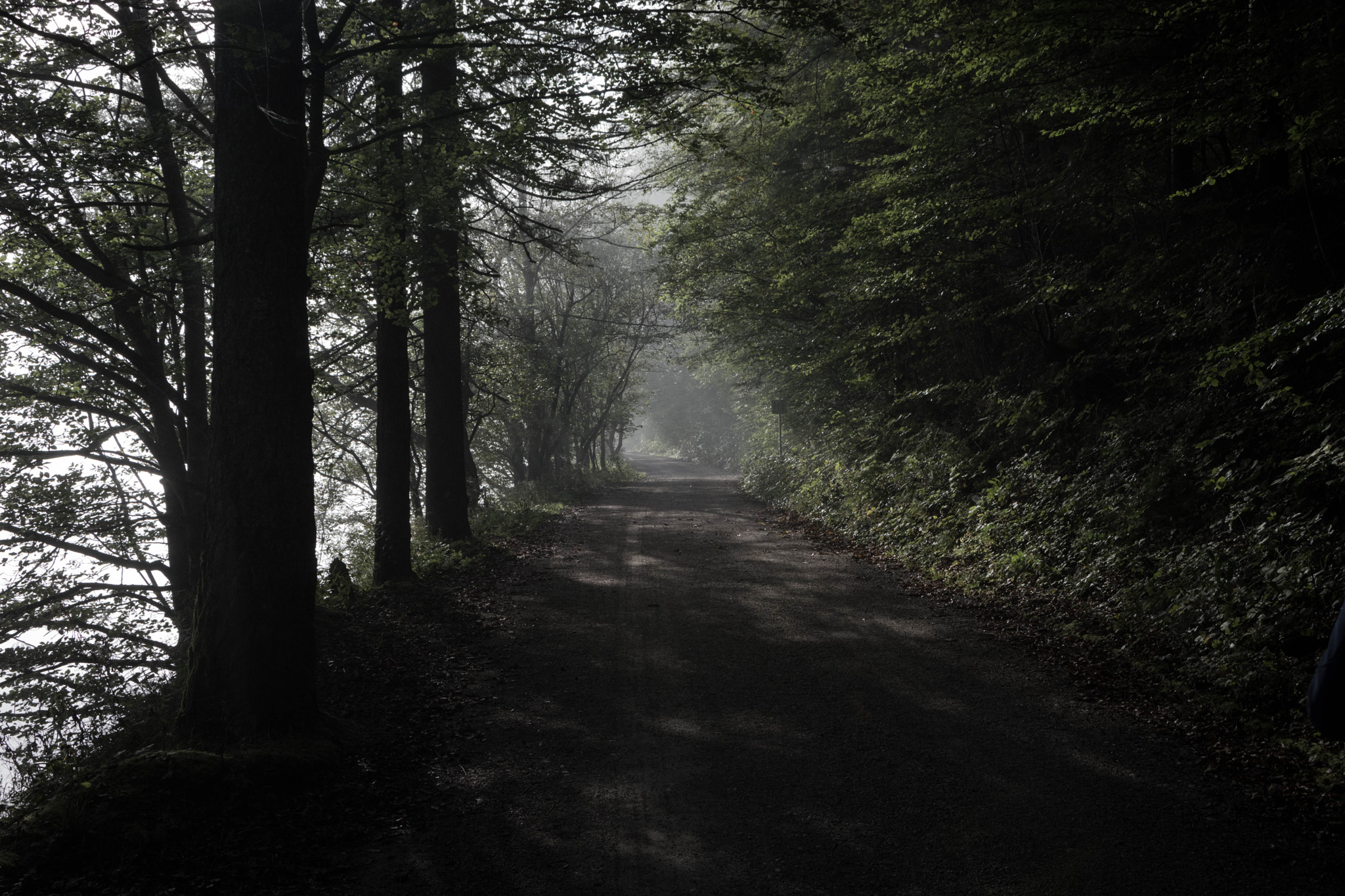 Sigma 28-300mm F3.5-6.3 DG Macro sample photo. Misty road photography
