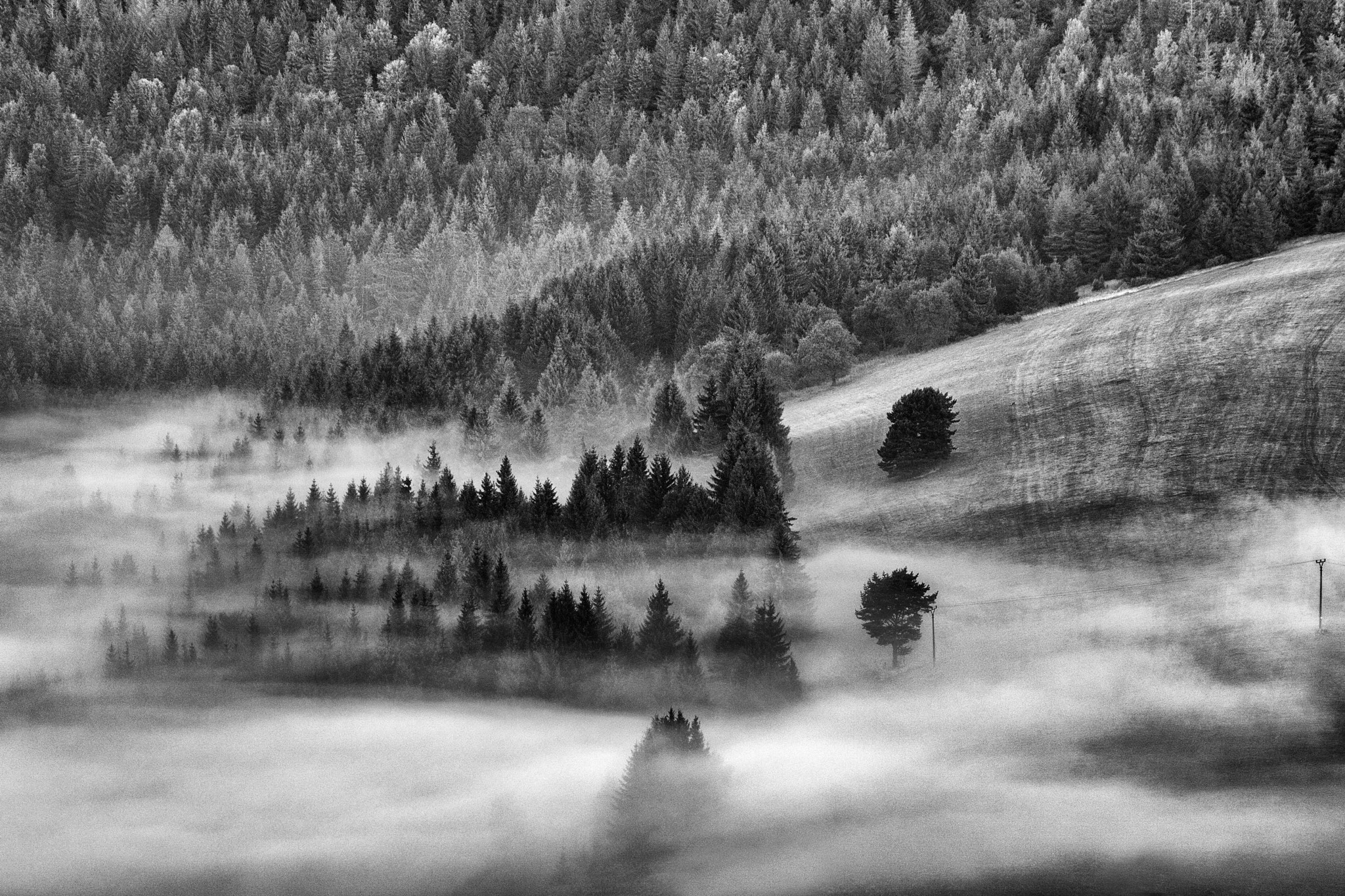 AF Zoom-Nikkor 80-200mm f/2.8 ED sample photo. Some of catching fog photography